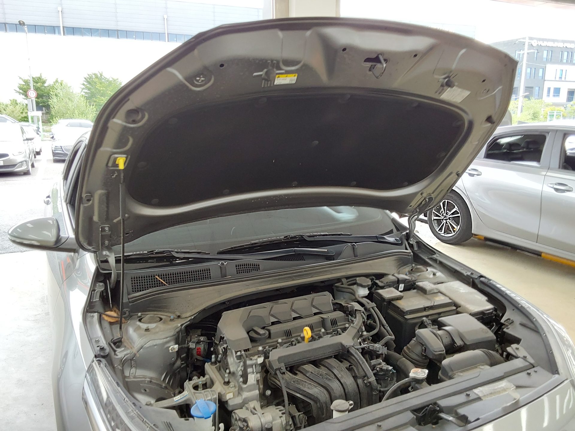 2024 - kia k3