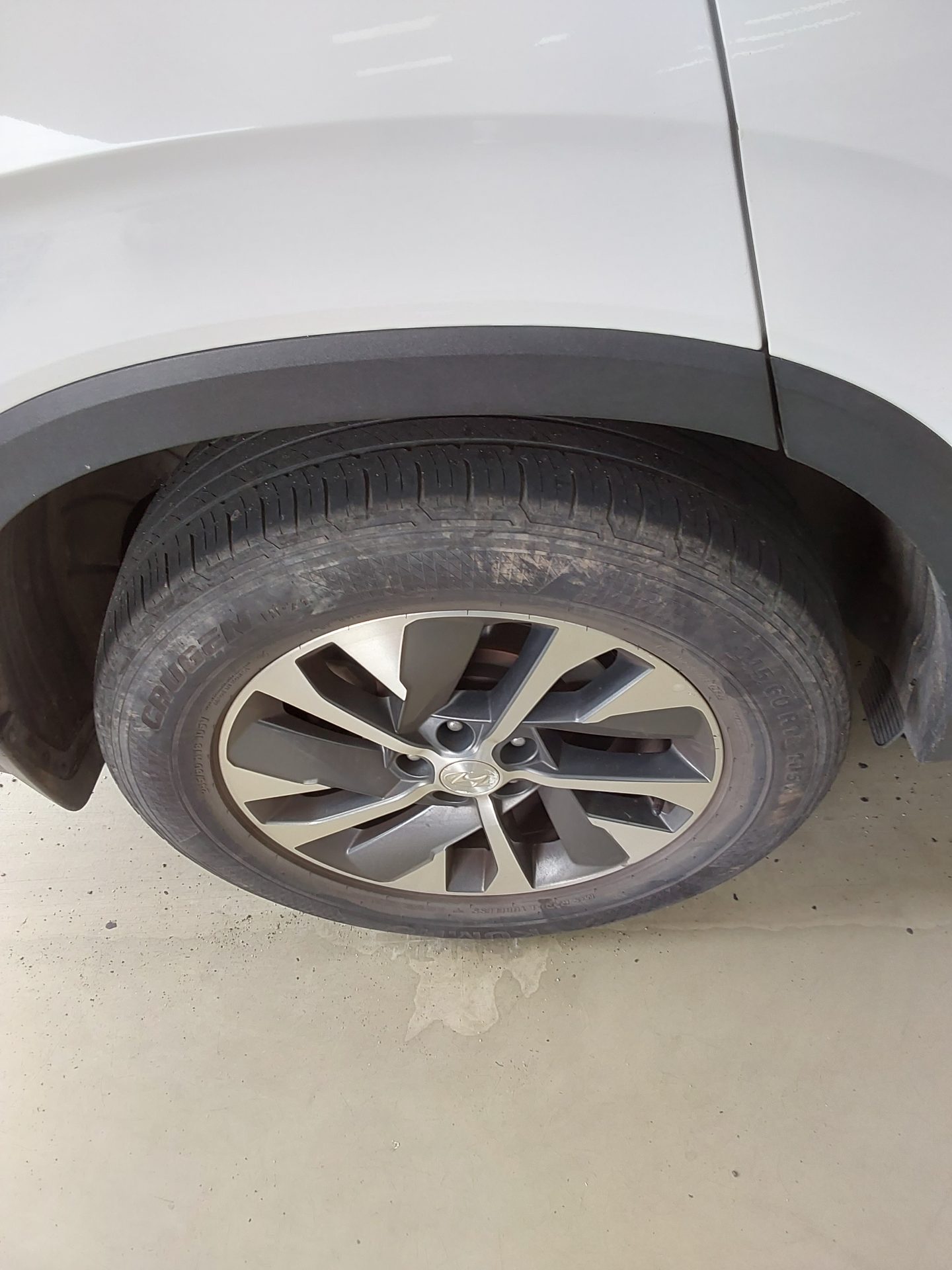 2019 - hyundai palisade