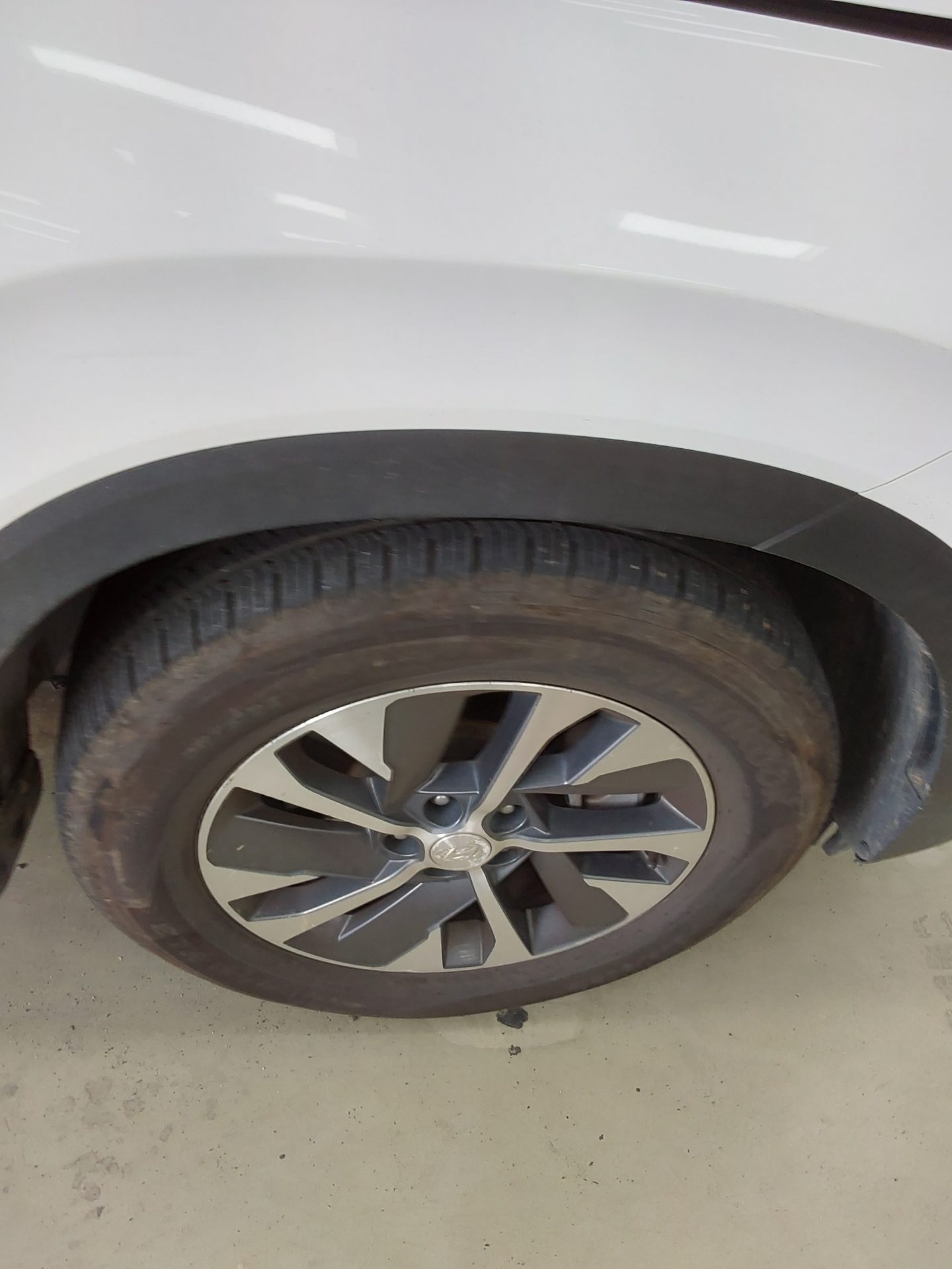 2019 - hyundai palisade