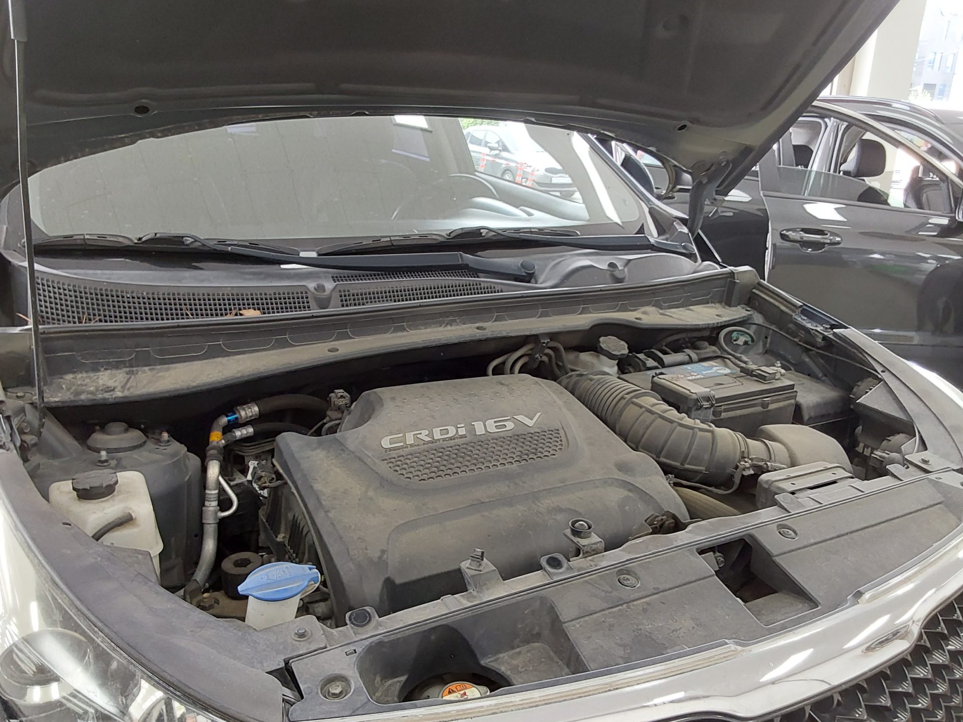 2015 - kia sportage