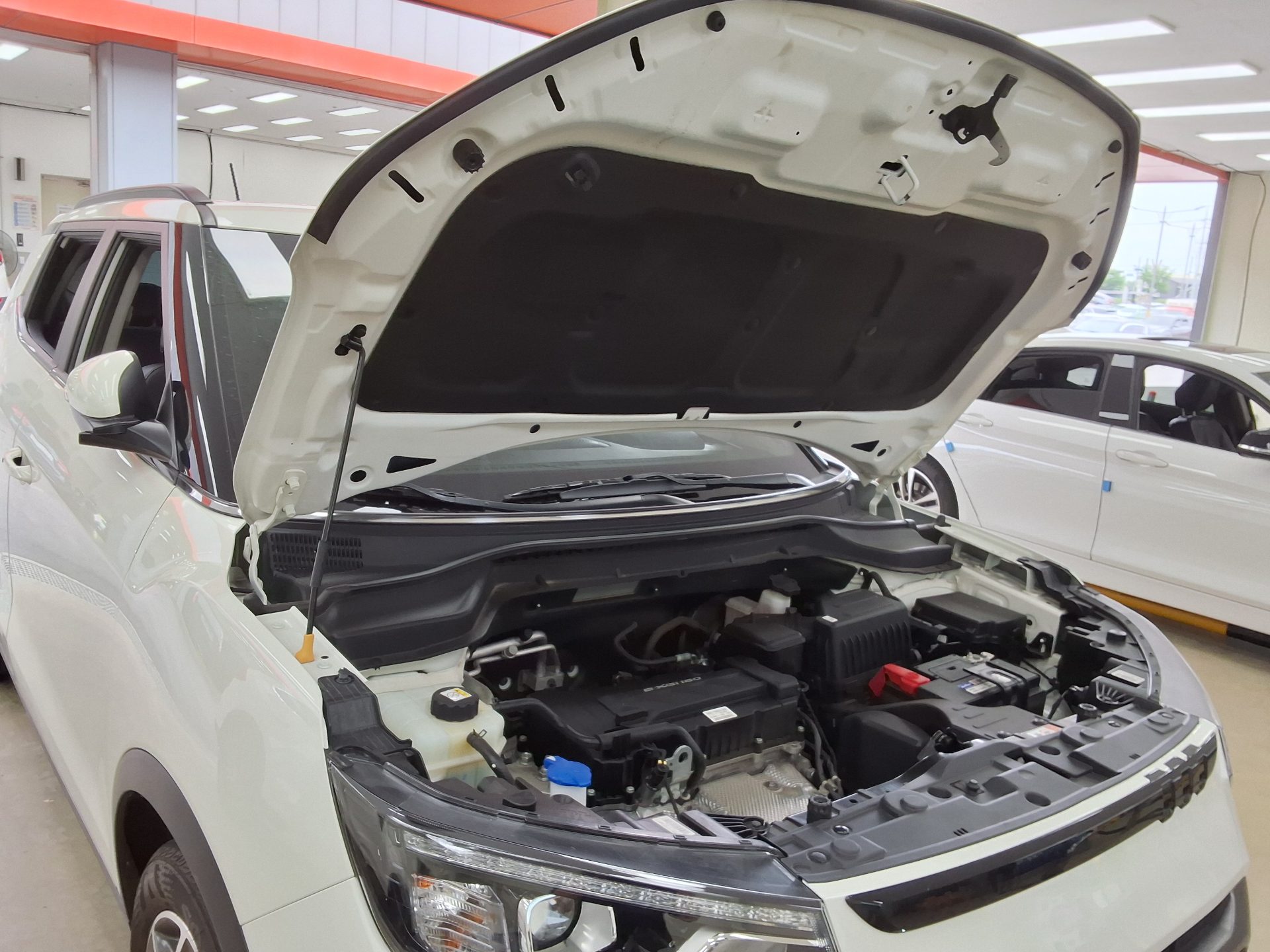 2024 - ssangyong tivoli