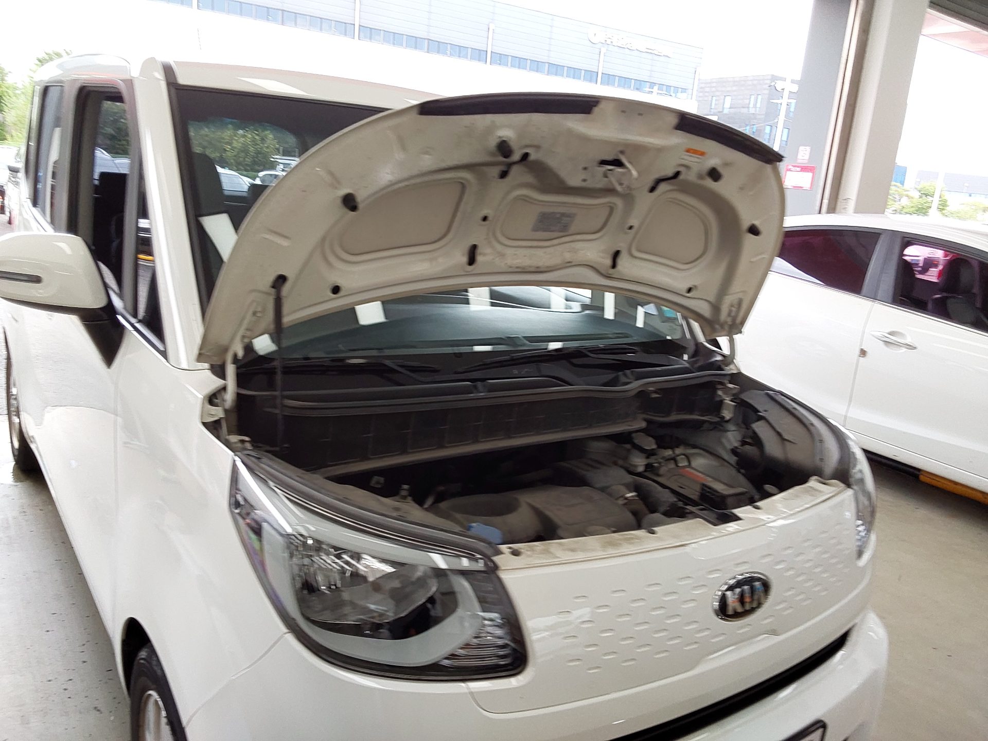 2019 - kia ray
