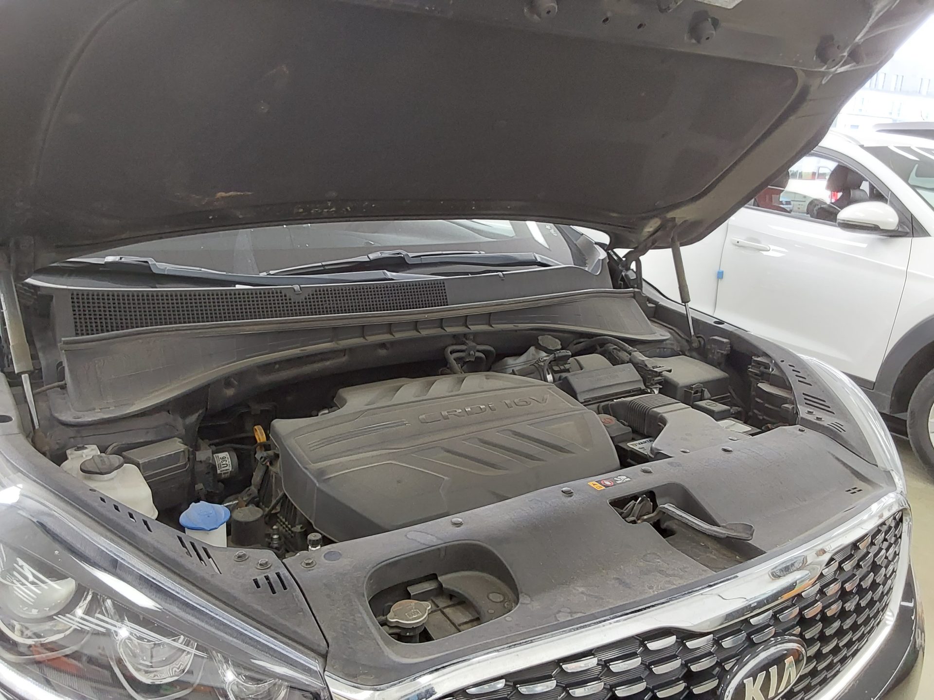 2019 - kia sorento