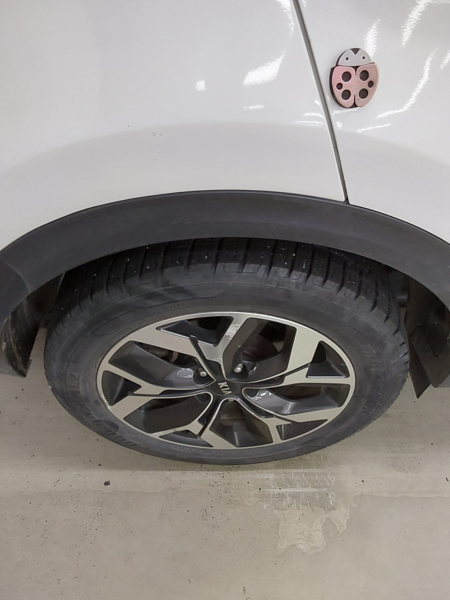2022 - kia sportage