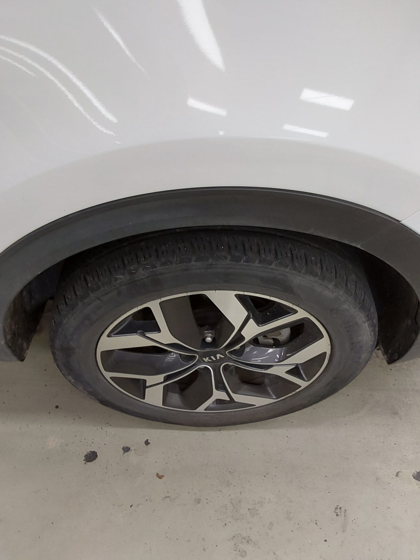 2022 - kia sportage
