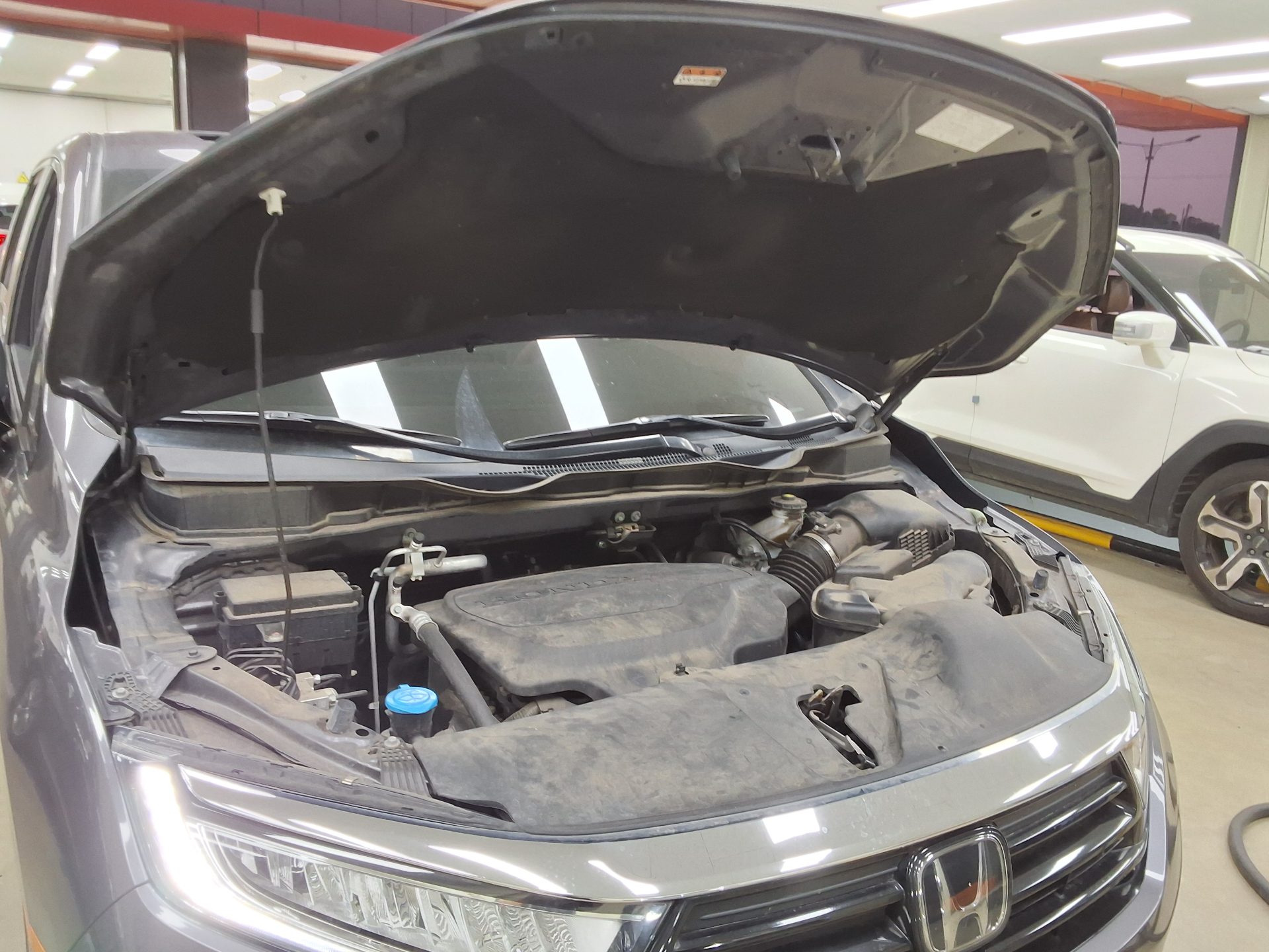 2022 - honda odyssey