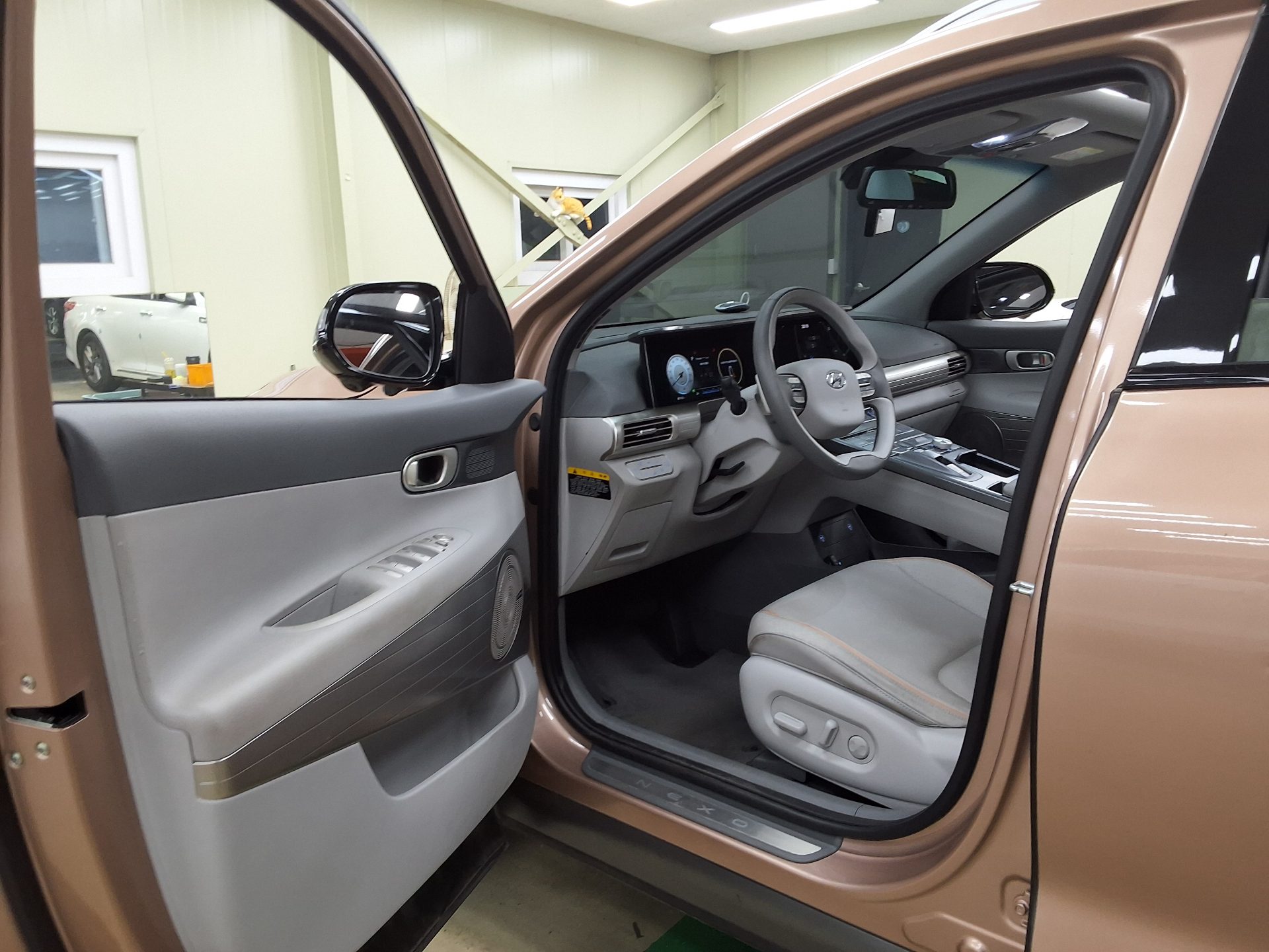 2022 - hyundai nexo