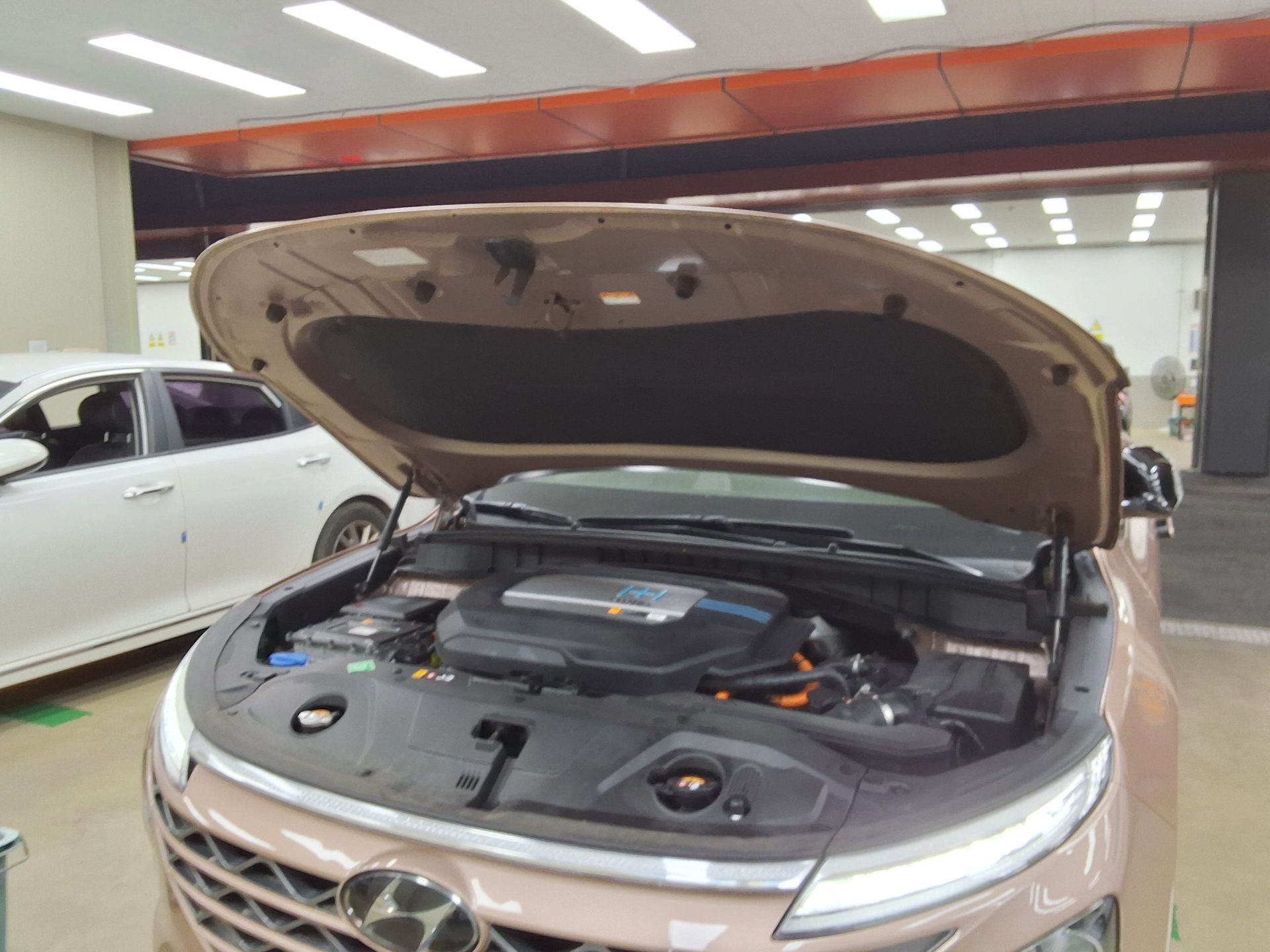 2022 - hyundai nexo