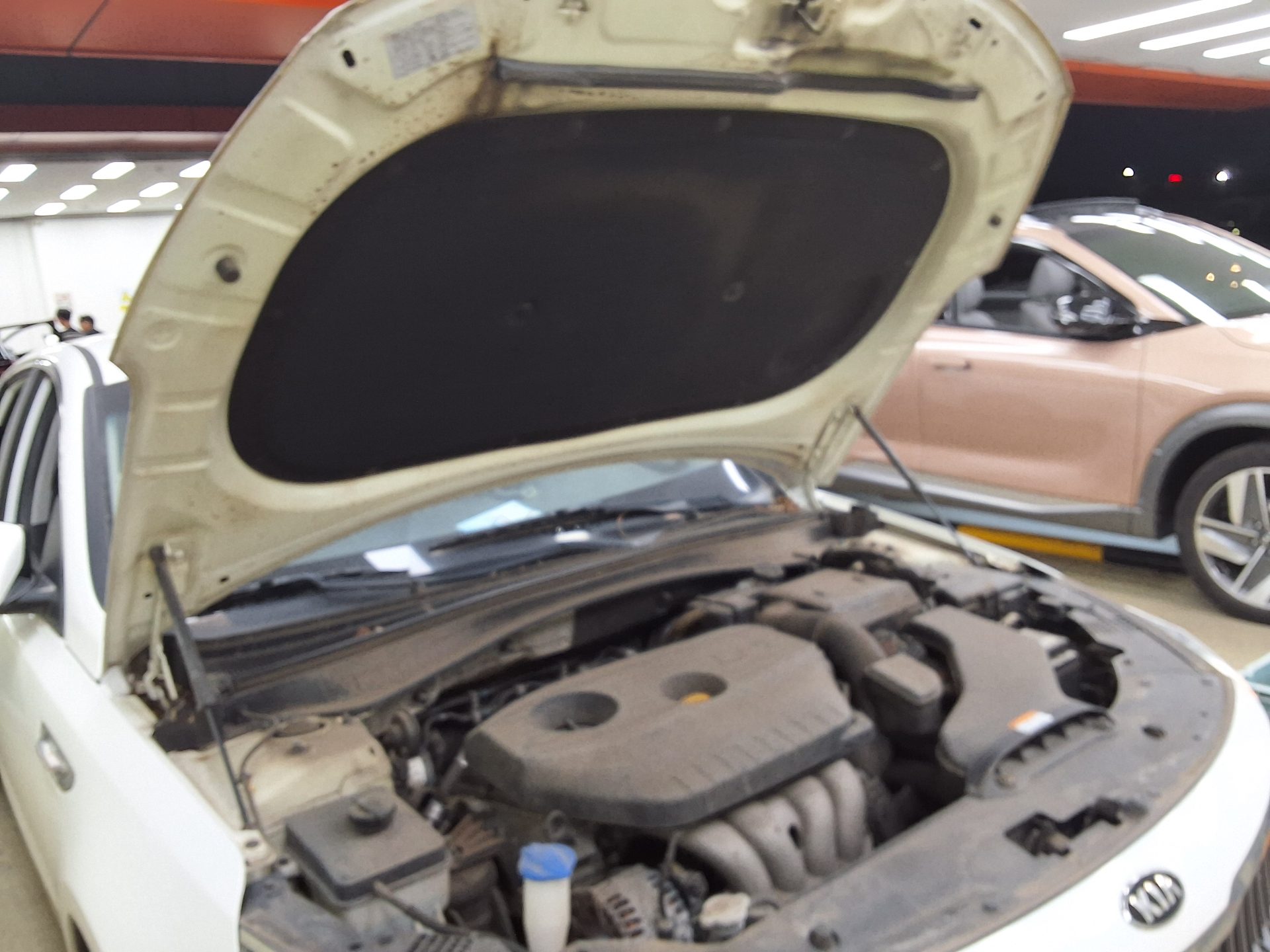 2019 - kia k5