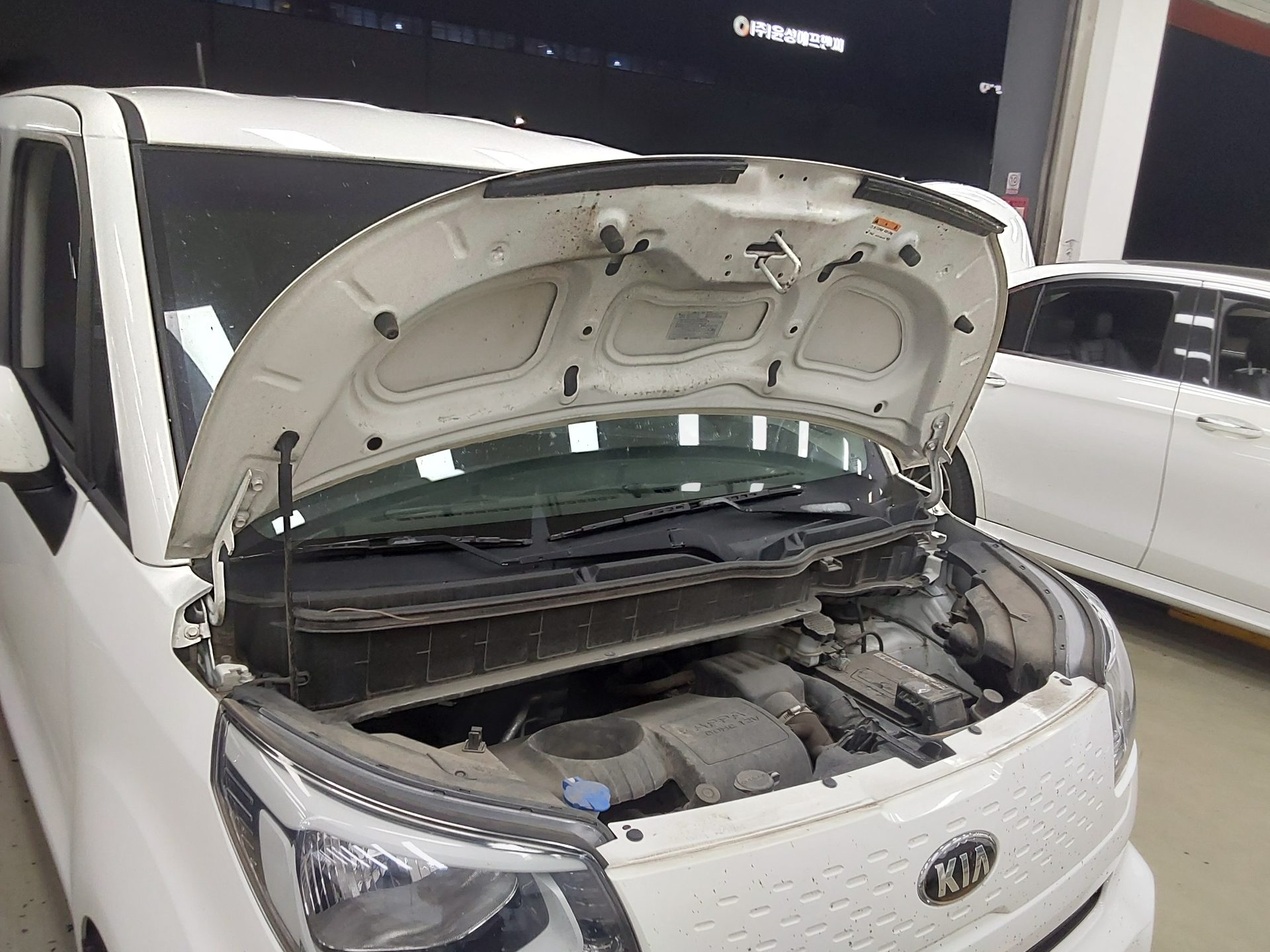 2019 - kia ray