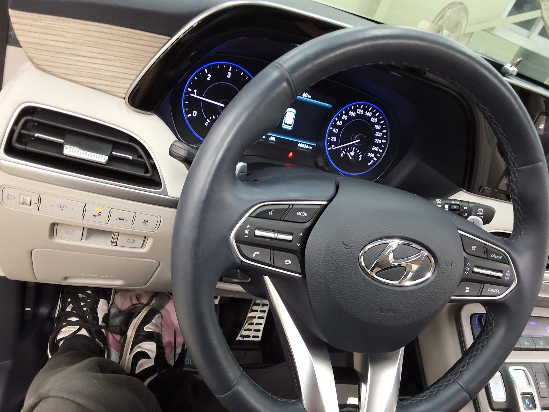 2020 - hyundai palisade
