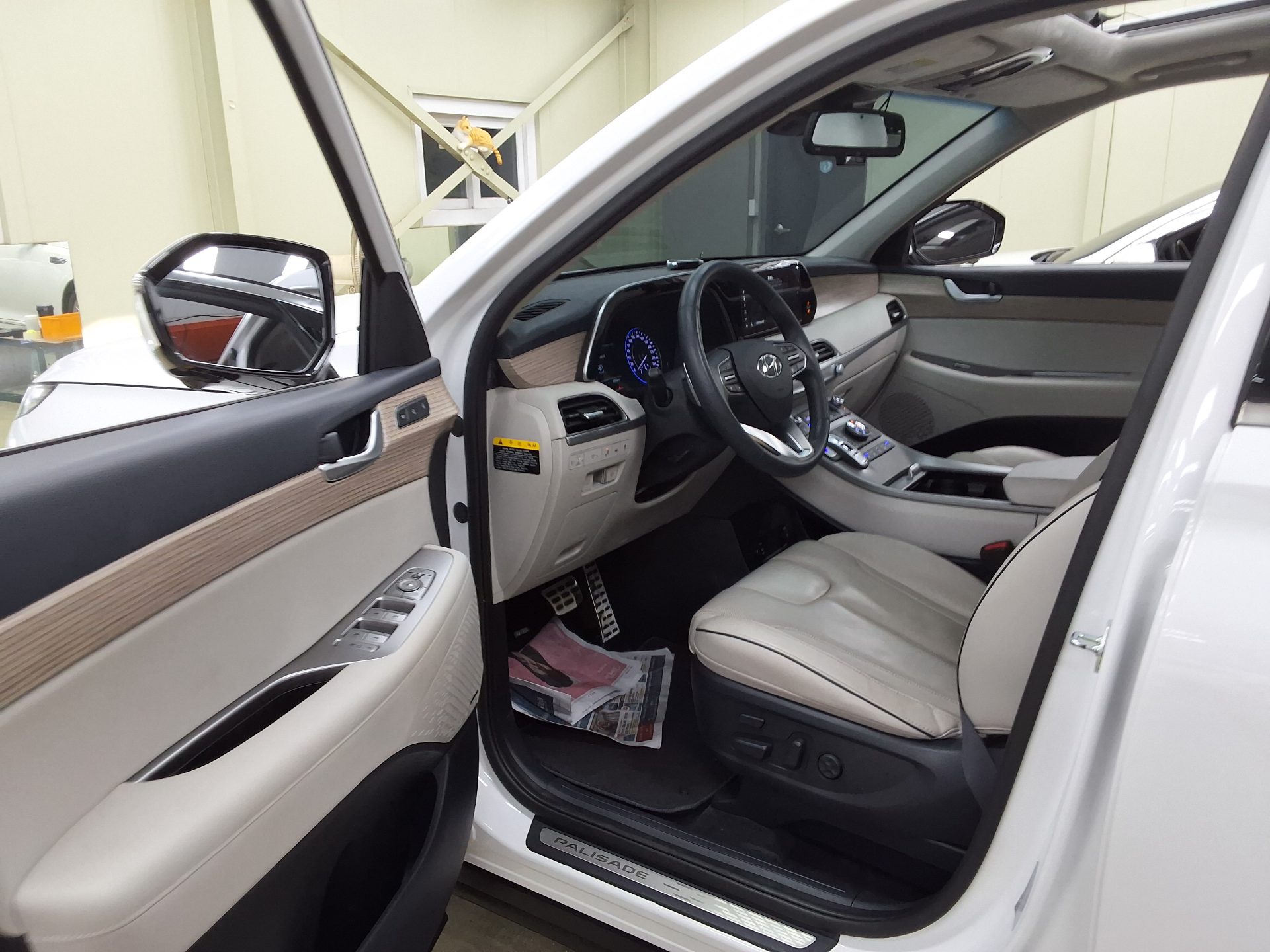 2020 - hyundai palisade