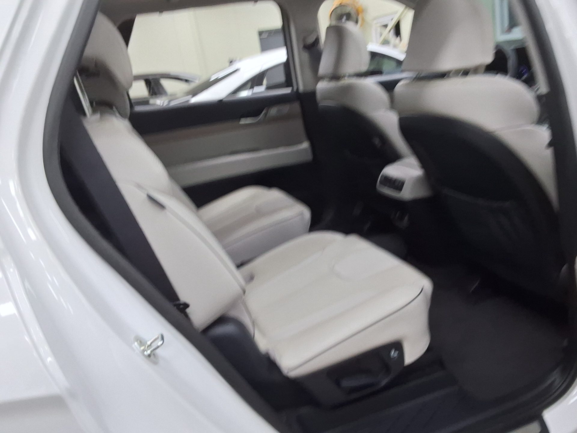 2020 - hyundai palisade