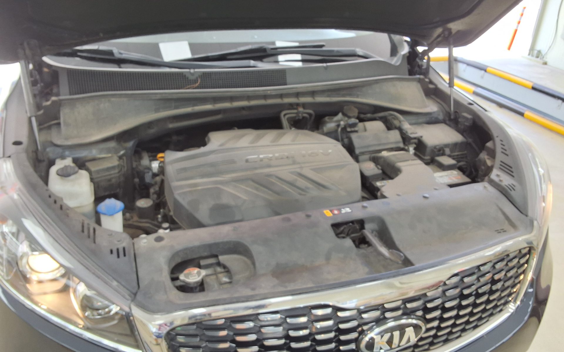 2019 - kia sorento