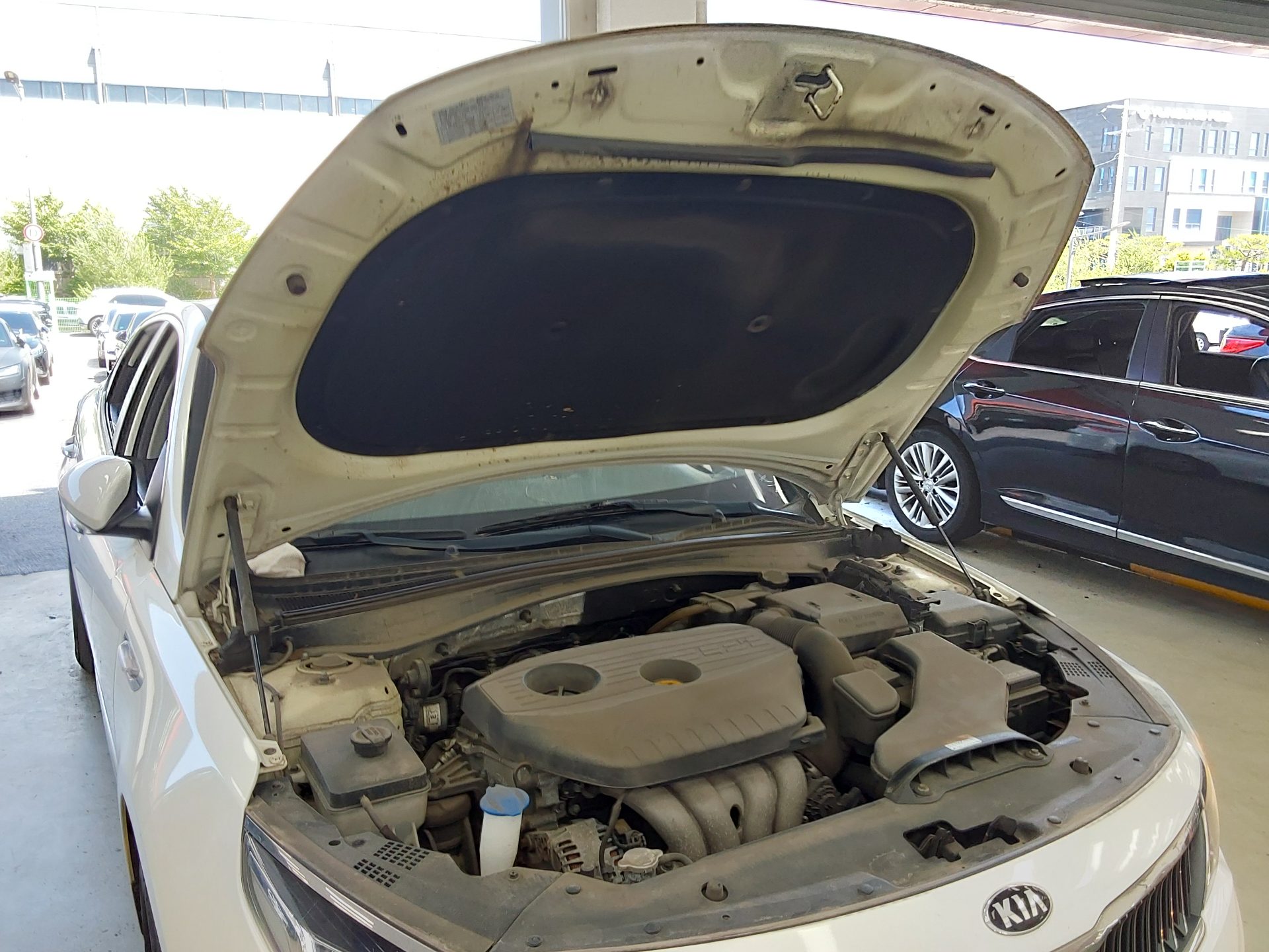 2019 - kia k5