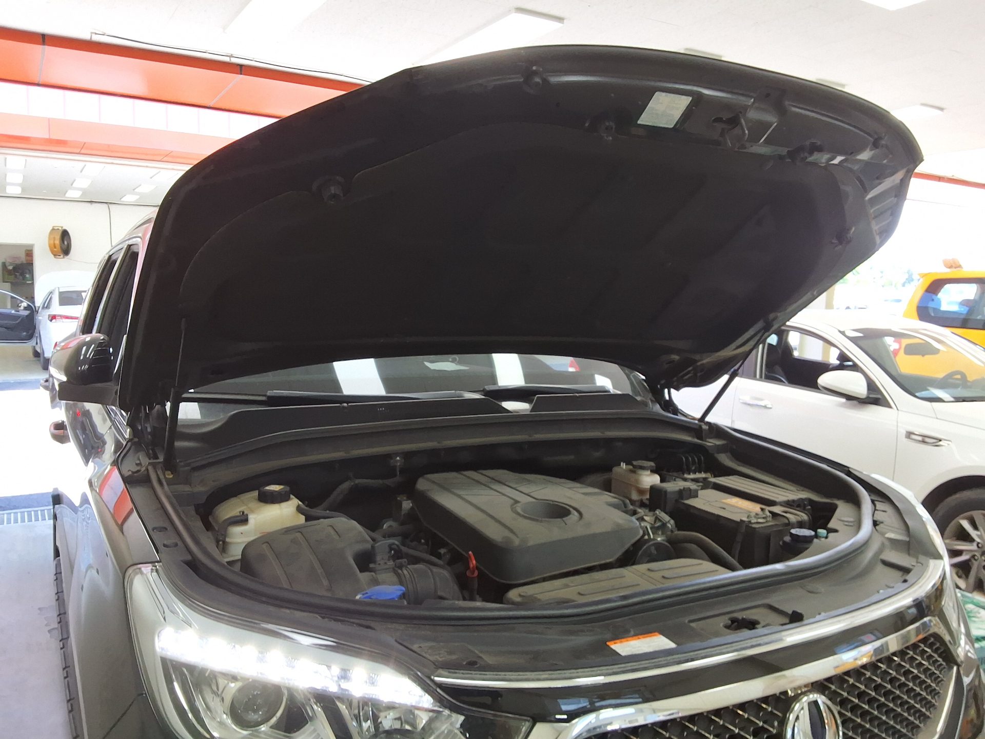 2018 - ssangyong rexton