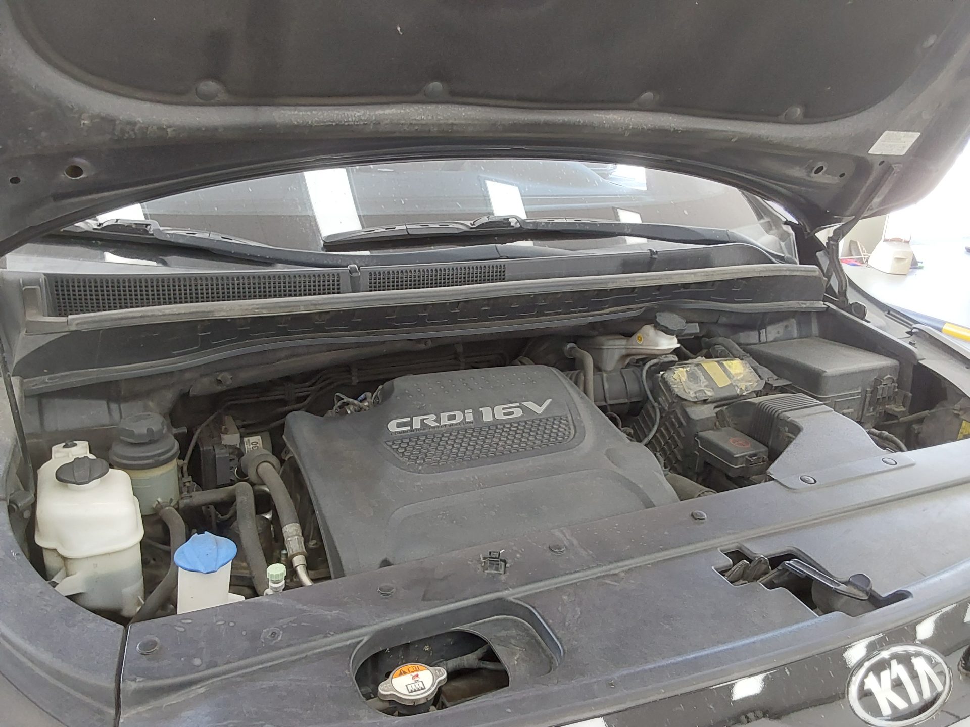 2018 - kia carnival