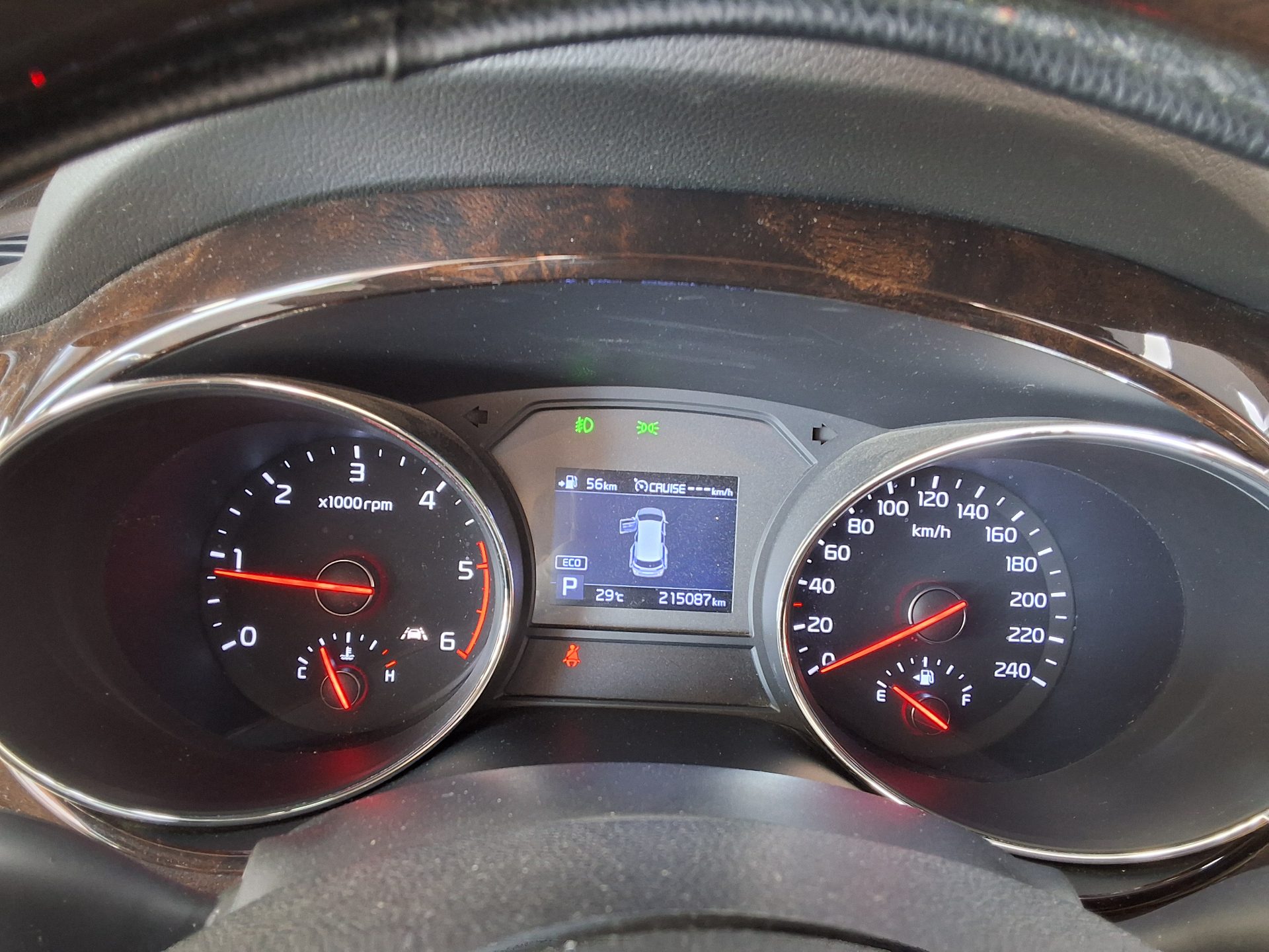 2019 - kia carnival