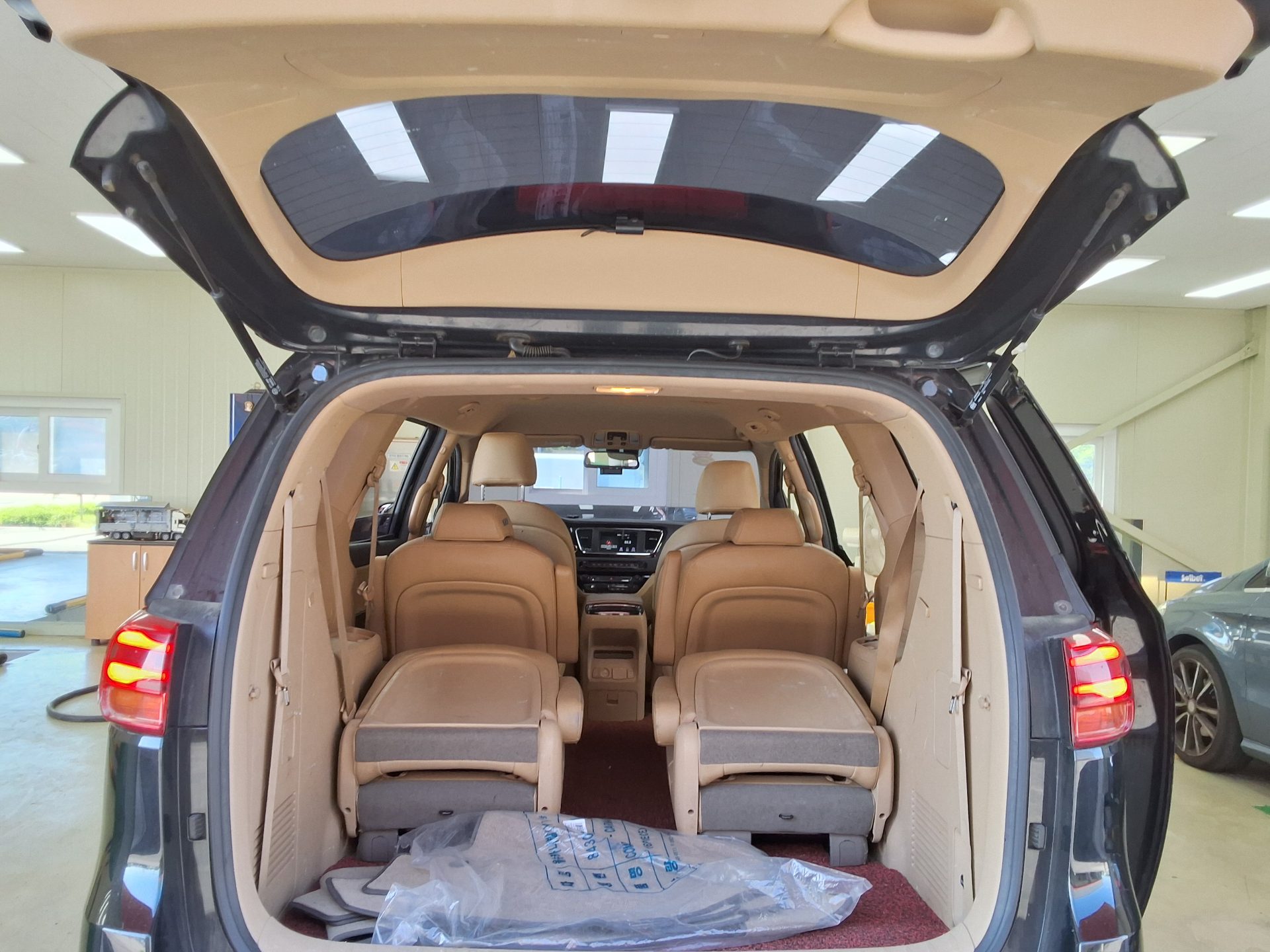 2019 - kia carnival