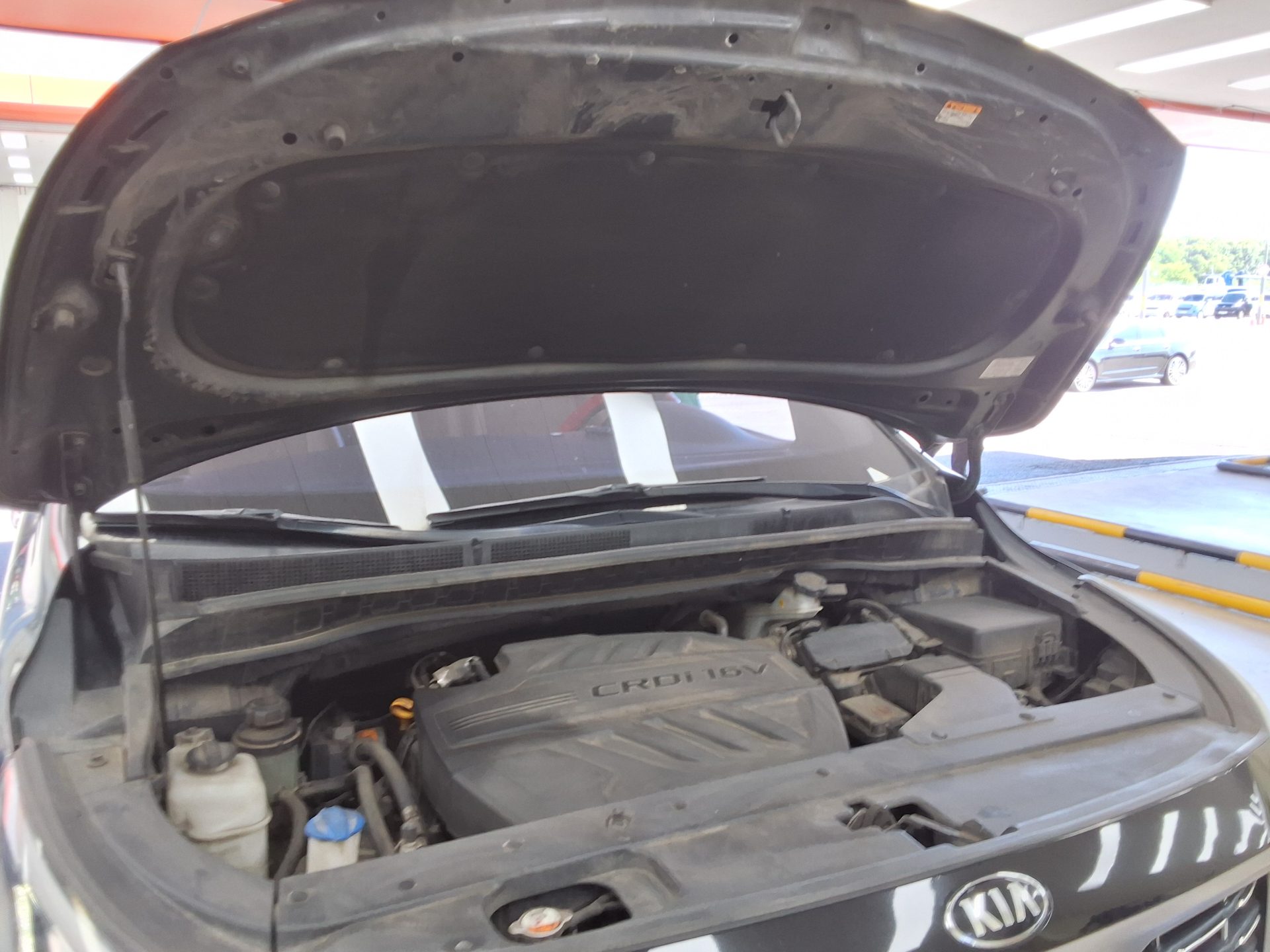 2019 - kia carnival