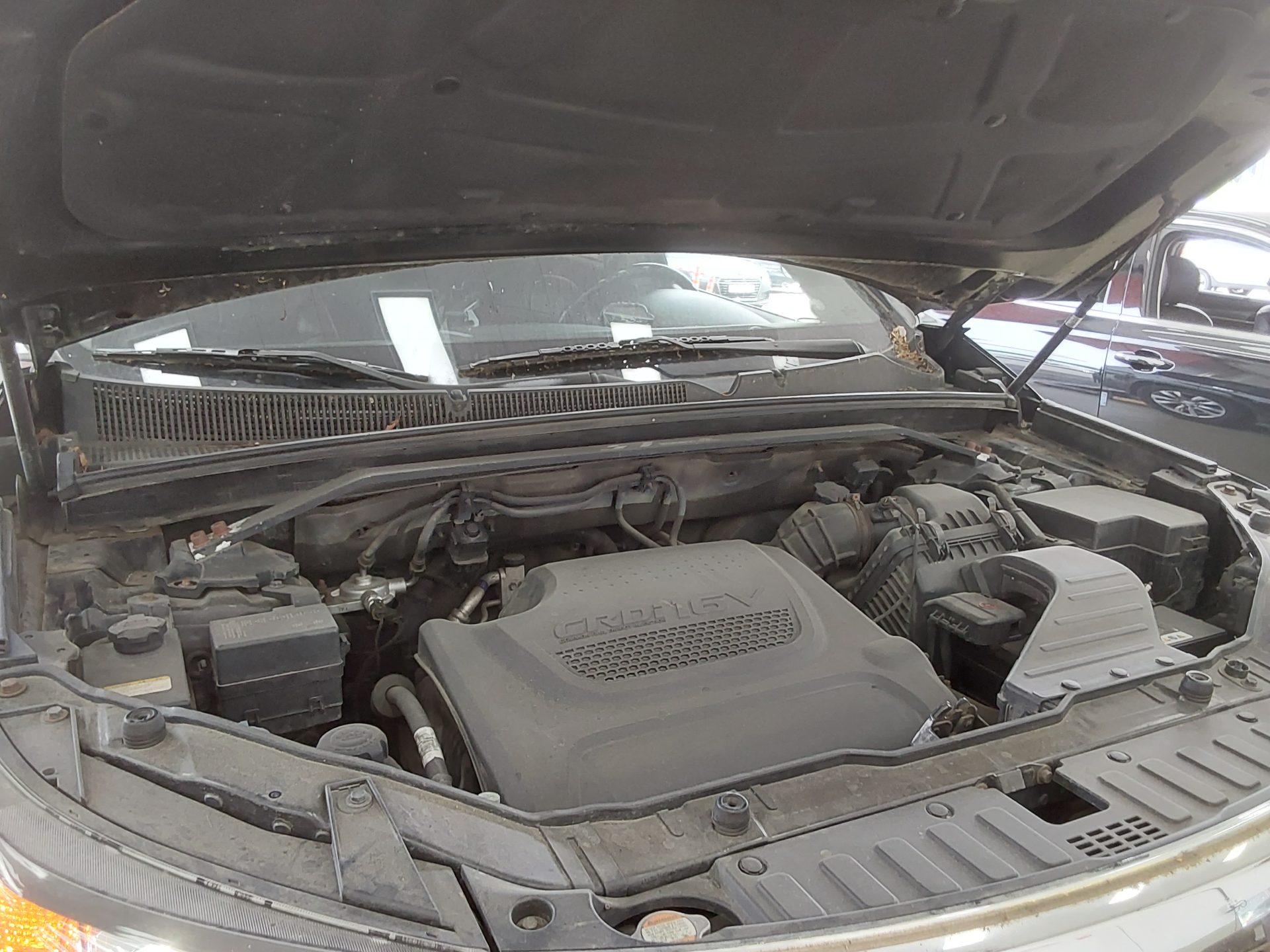2010 - kia sorento