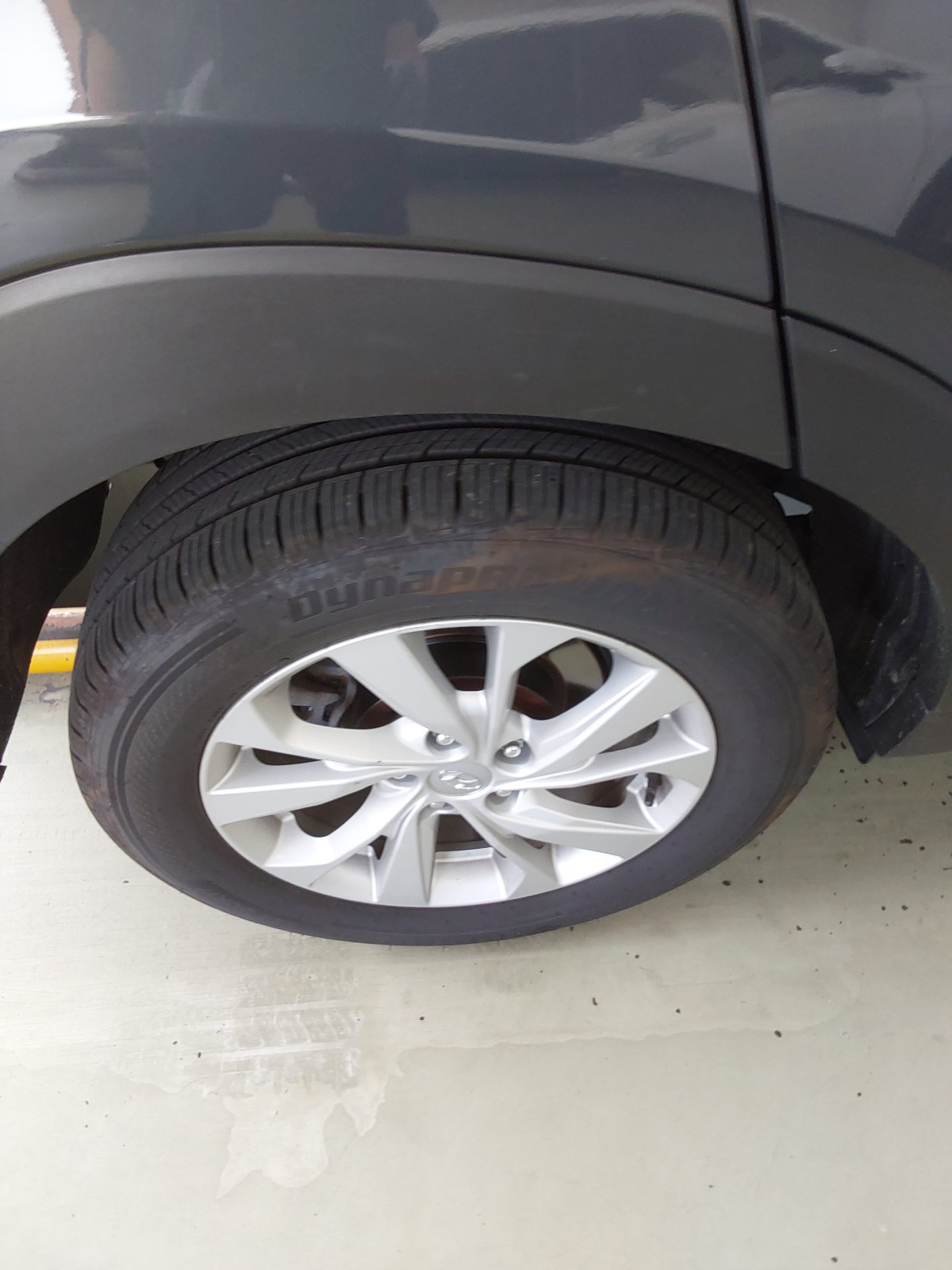 2019 - hyundai tucson