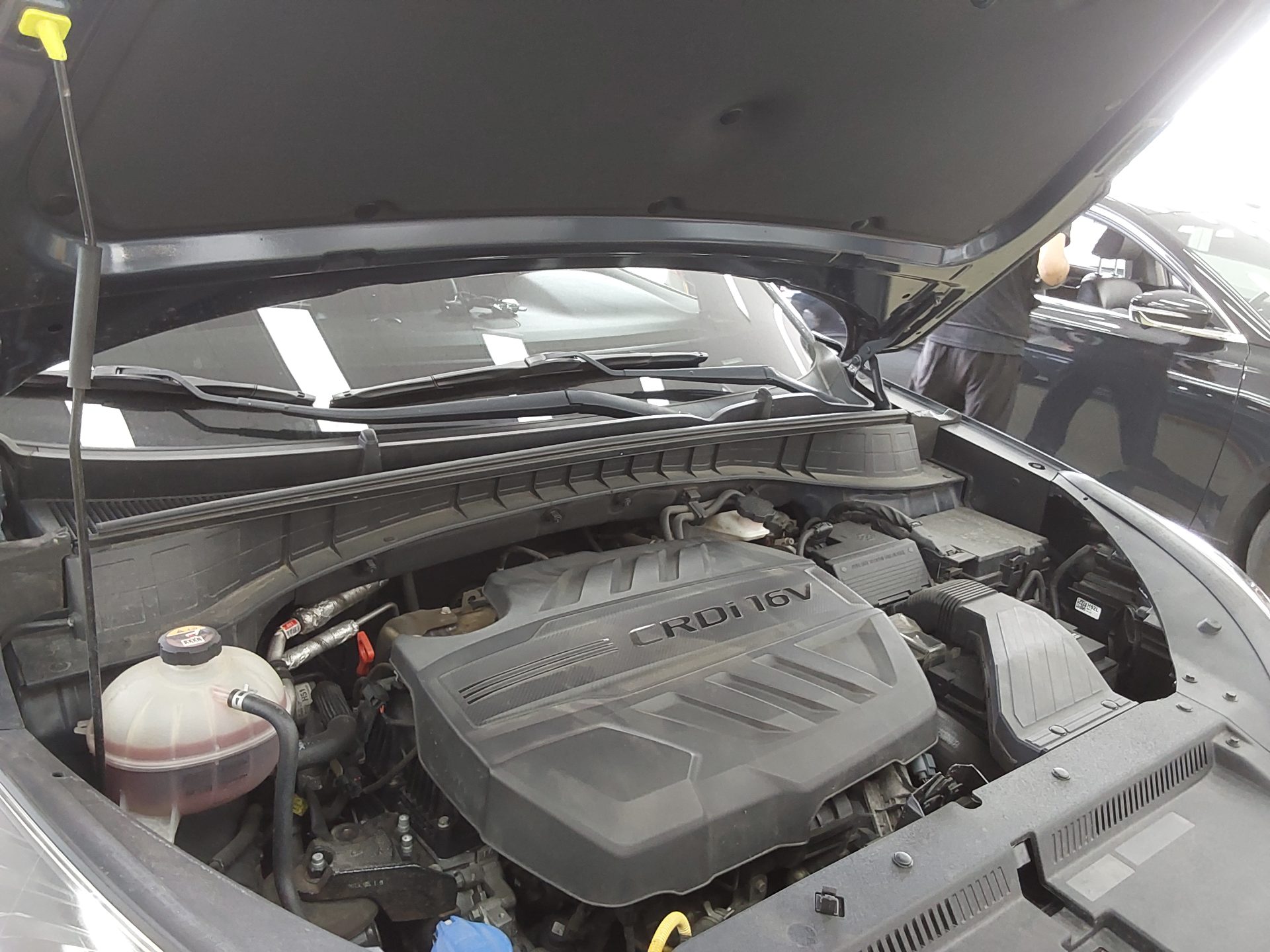 2019 - hyundai tucson