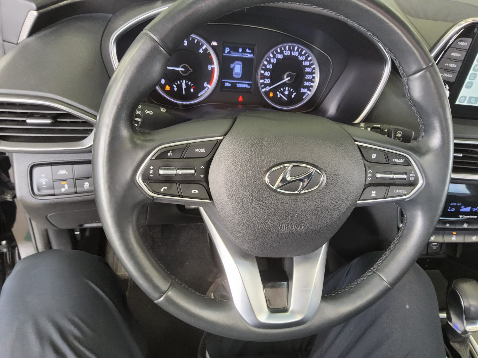 2019 - hyundai santa fe