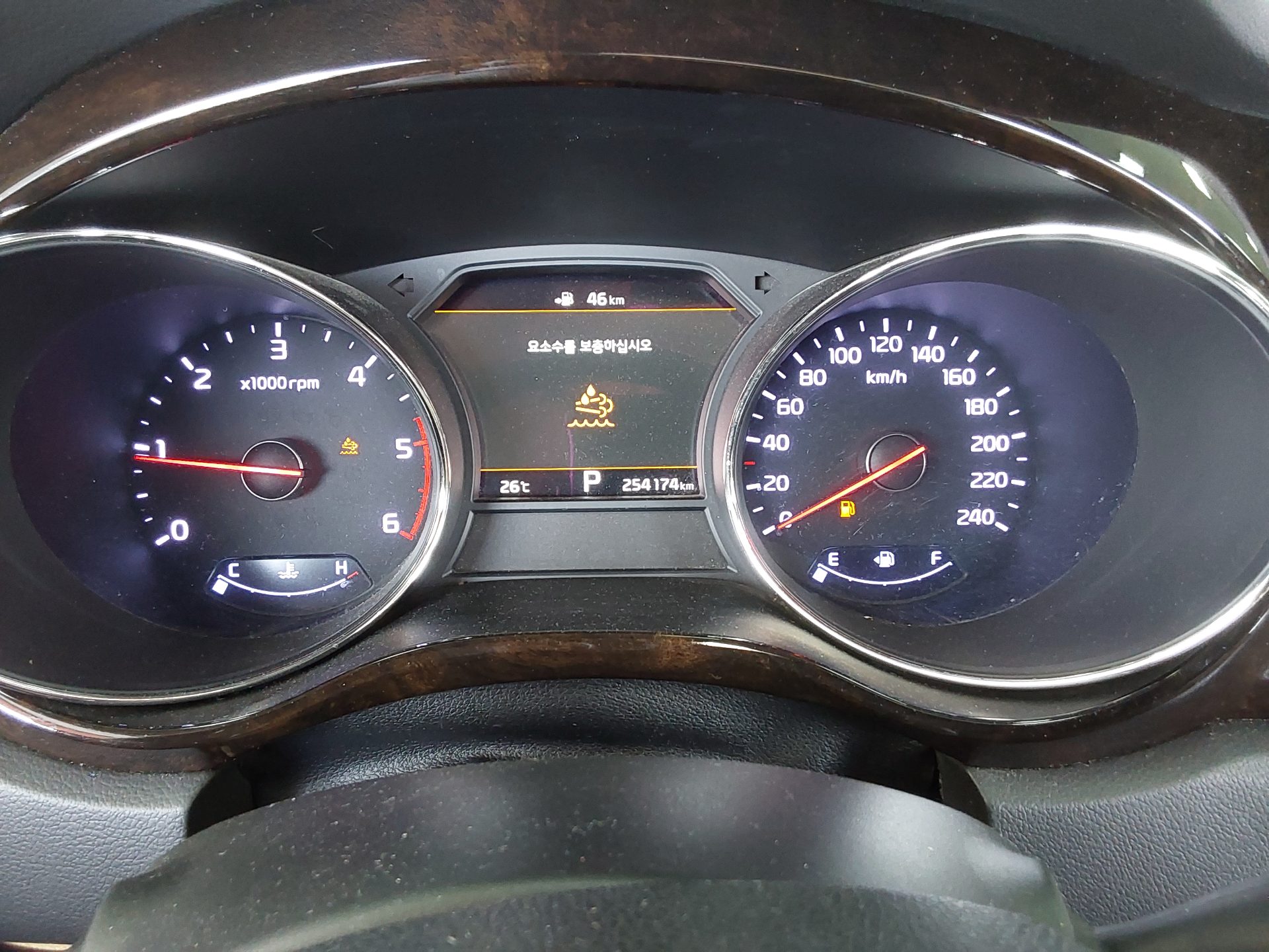 2019 - kia carnival