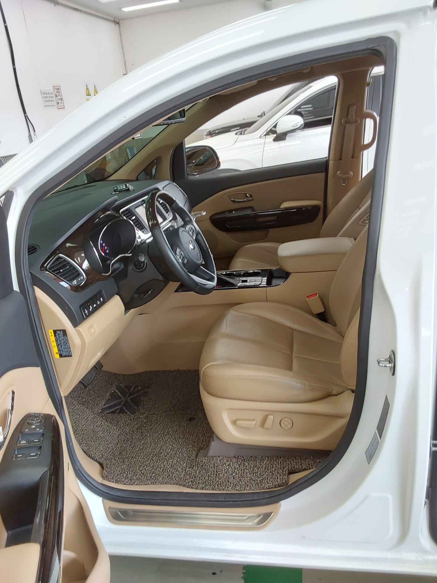 2019 - kia carnival