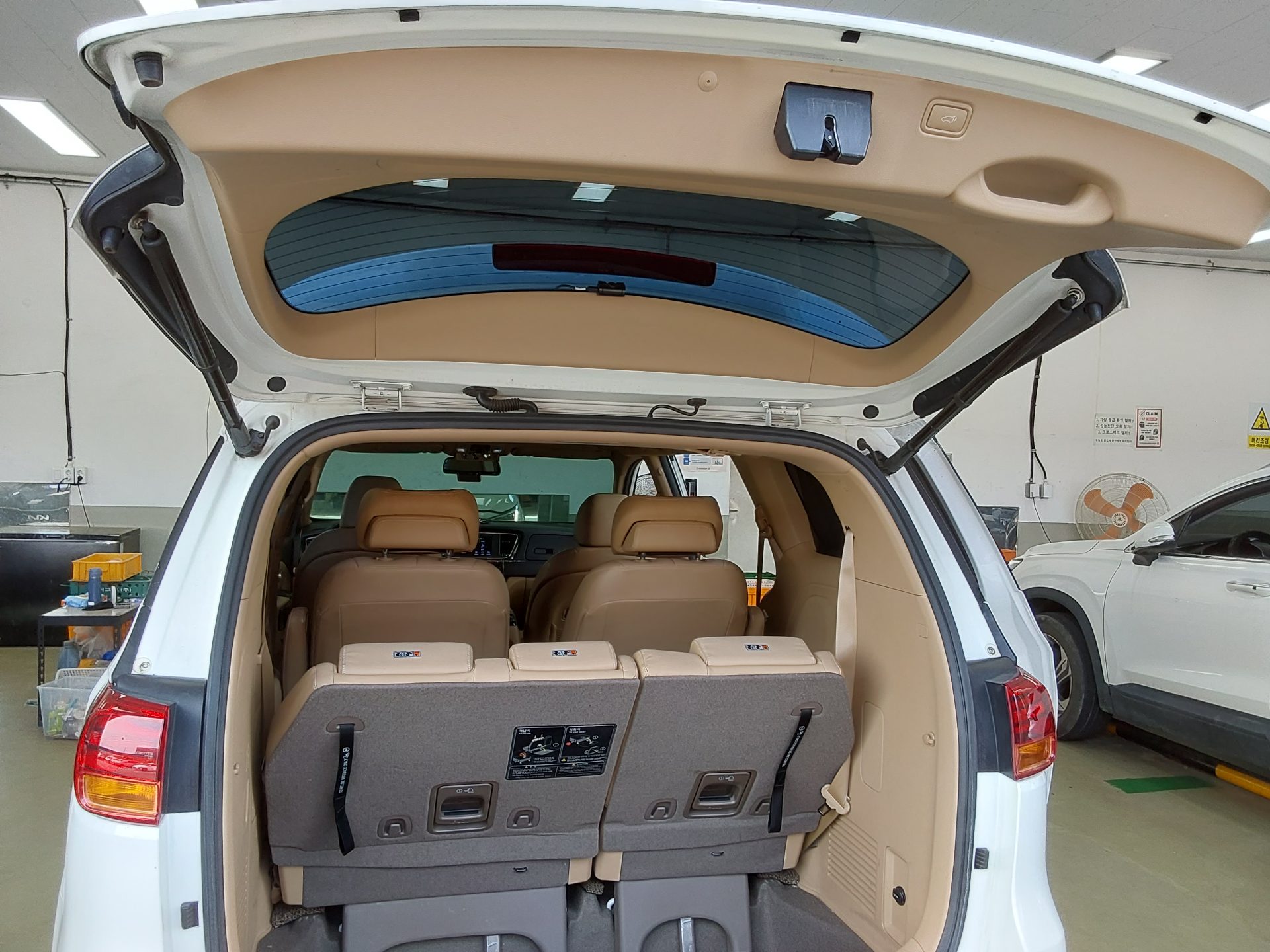 2019 - kia carnival