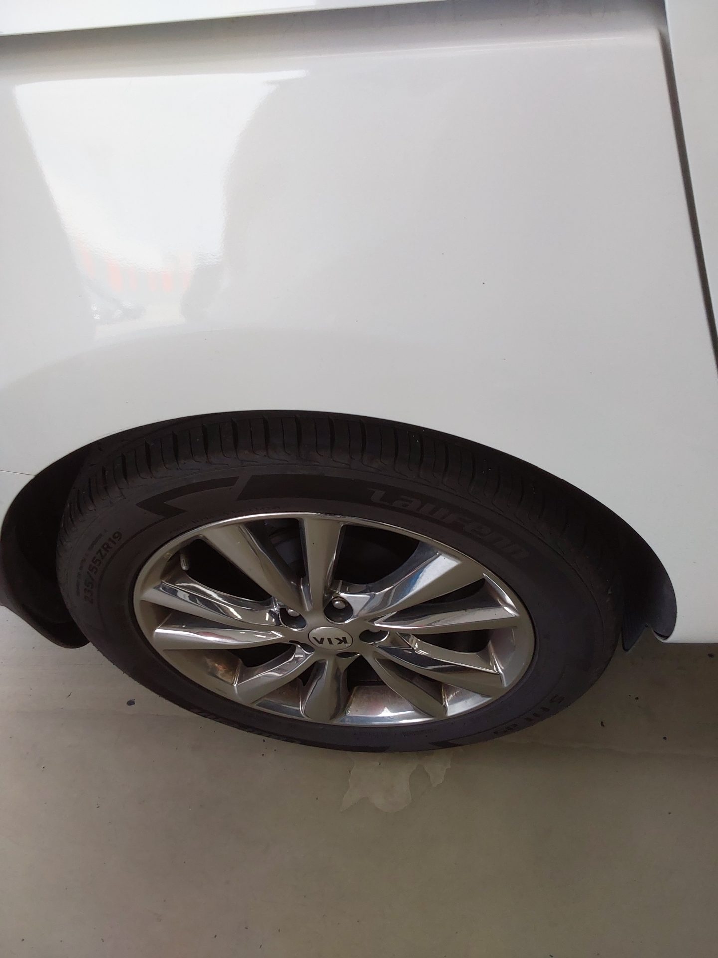 2019 - kia carnival