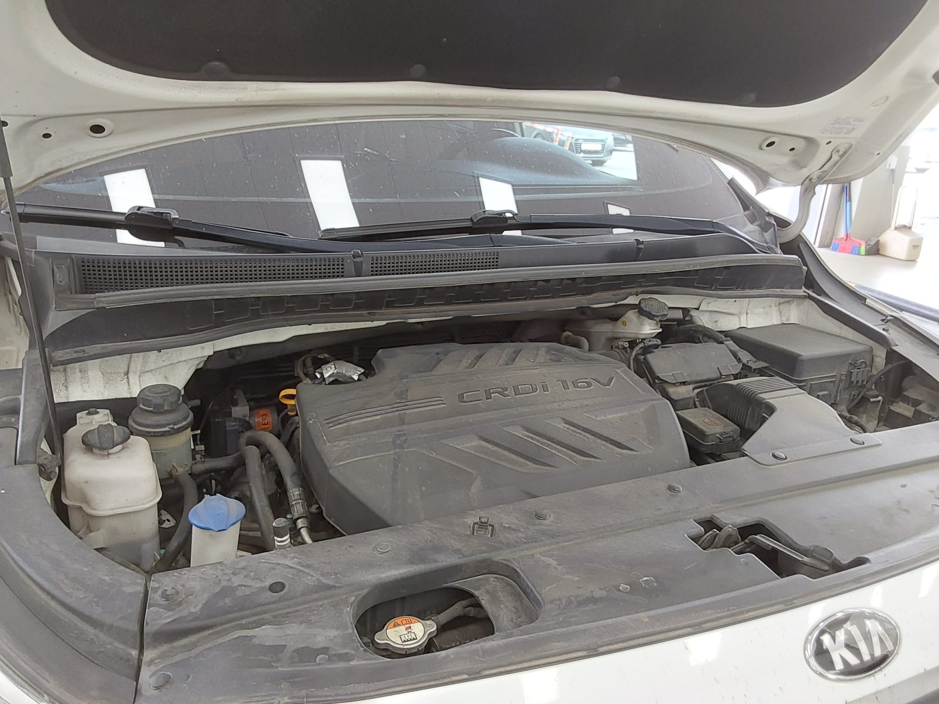 2019 - kia carnival