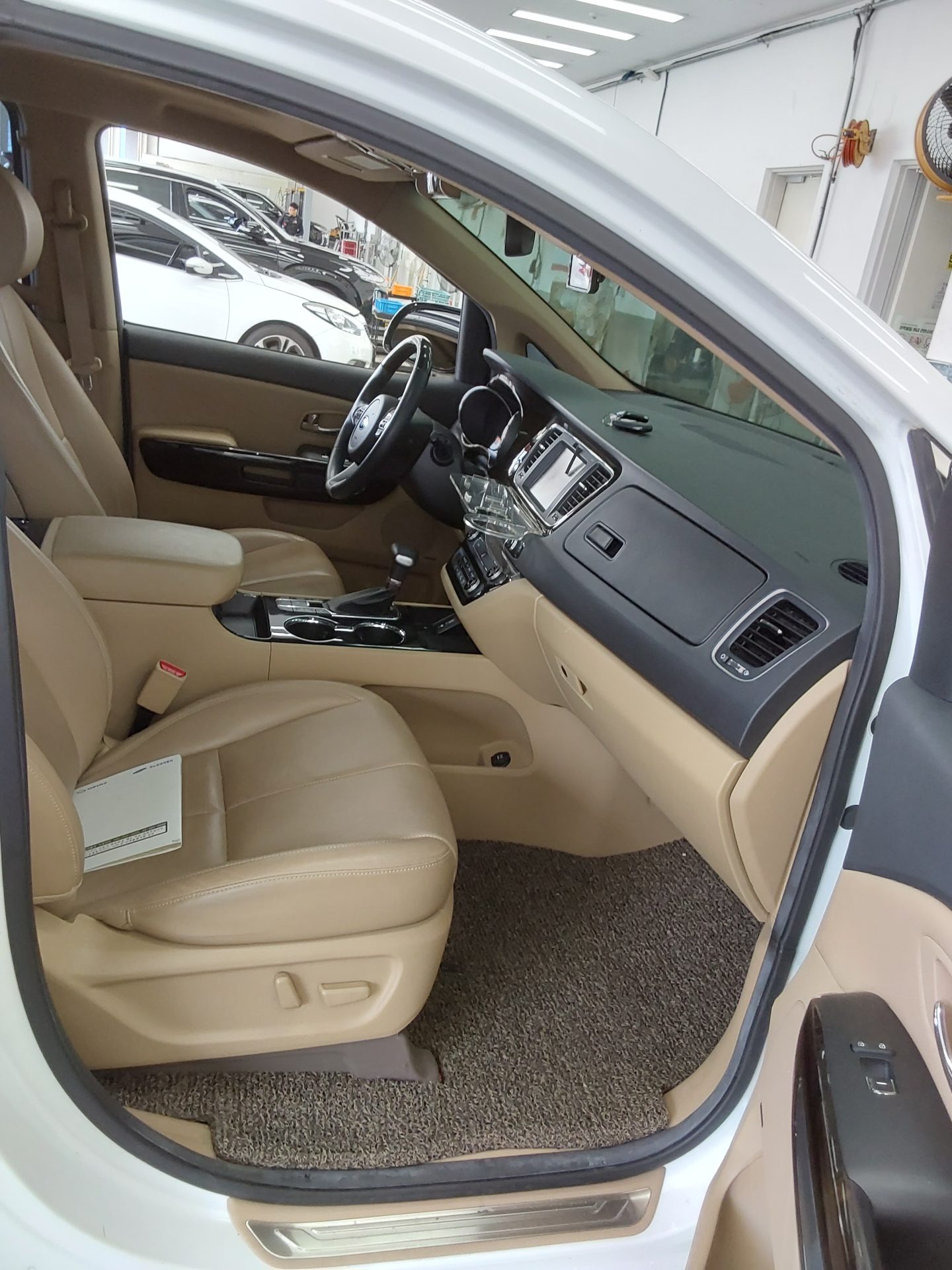 2019 - kia carnival