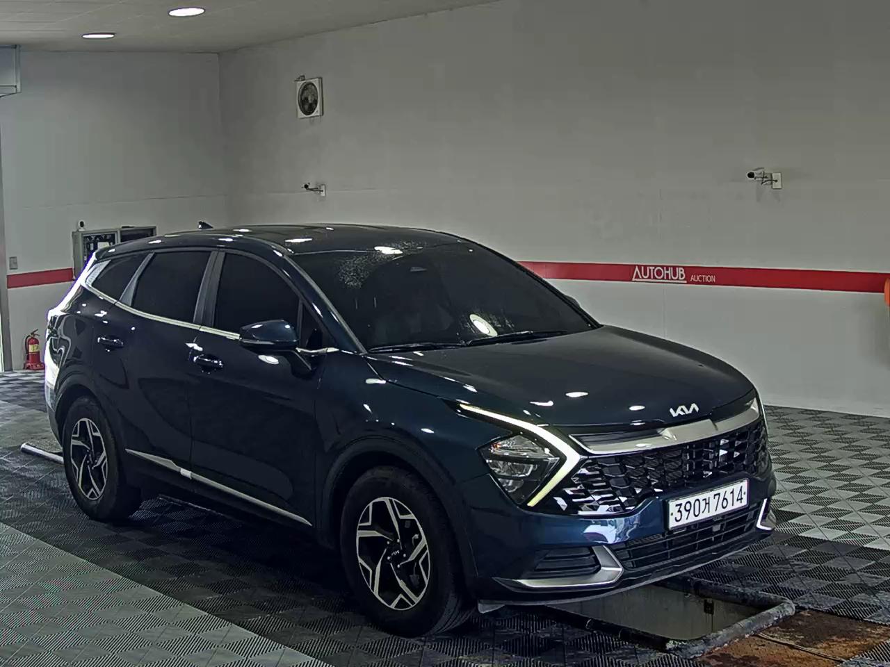 2024 - kia sportage