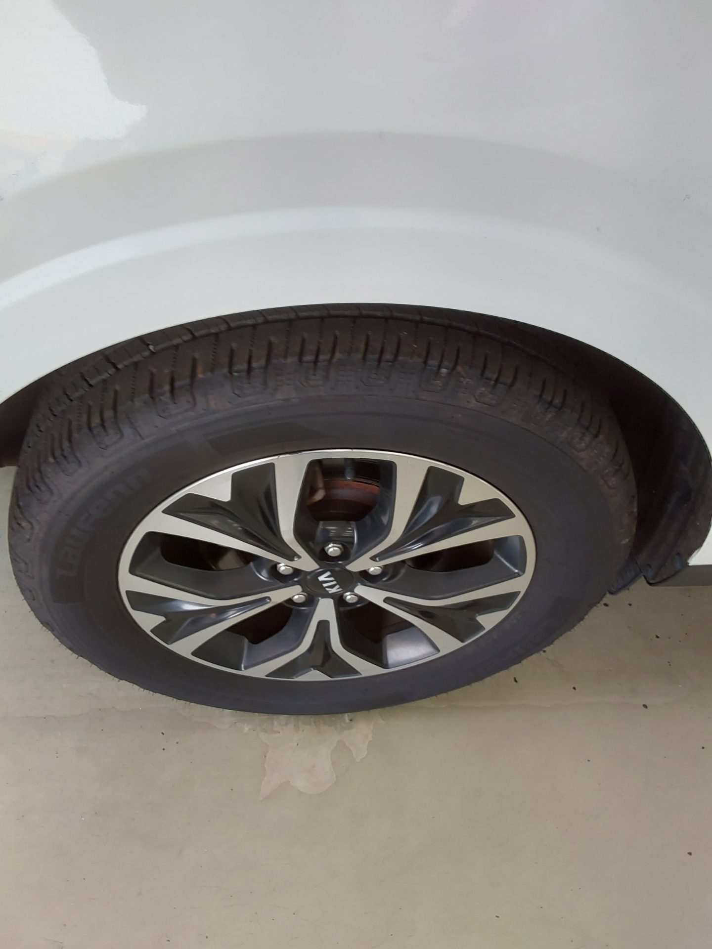 2021 - kia carnival