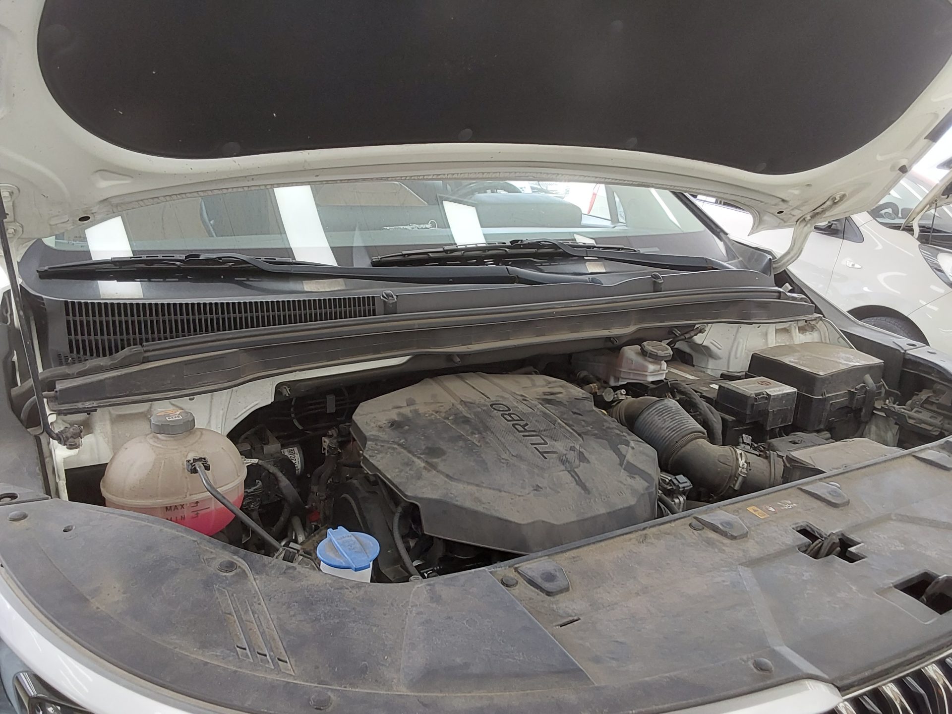2021 - kia carnival