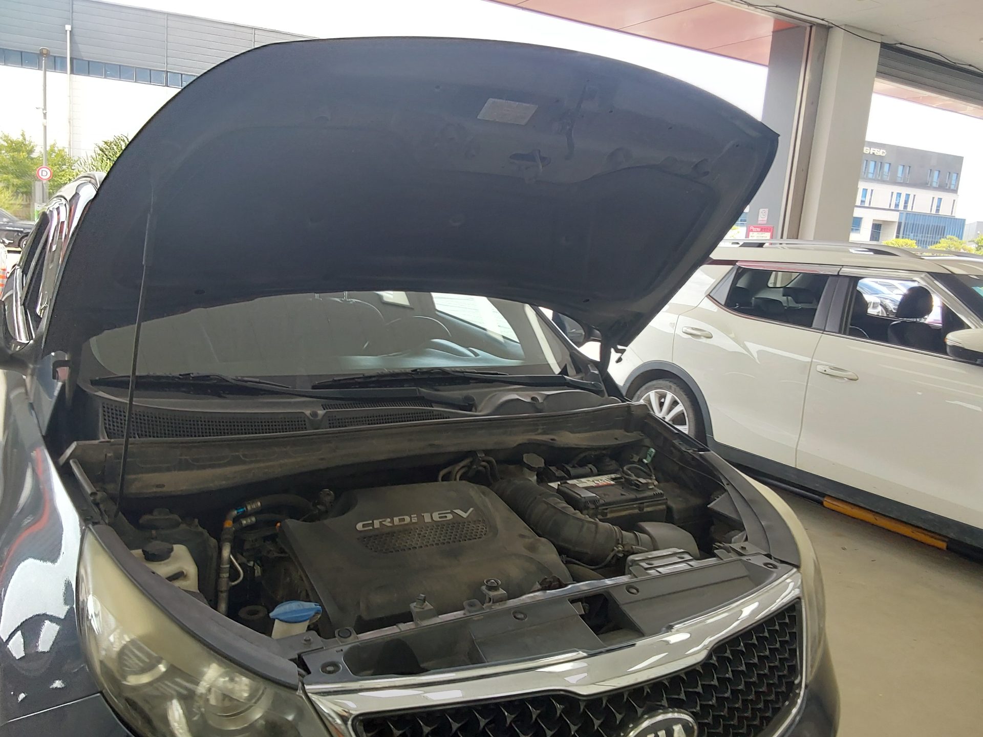 2015 - kia sportage