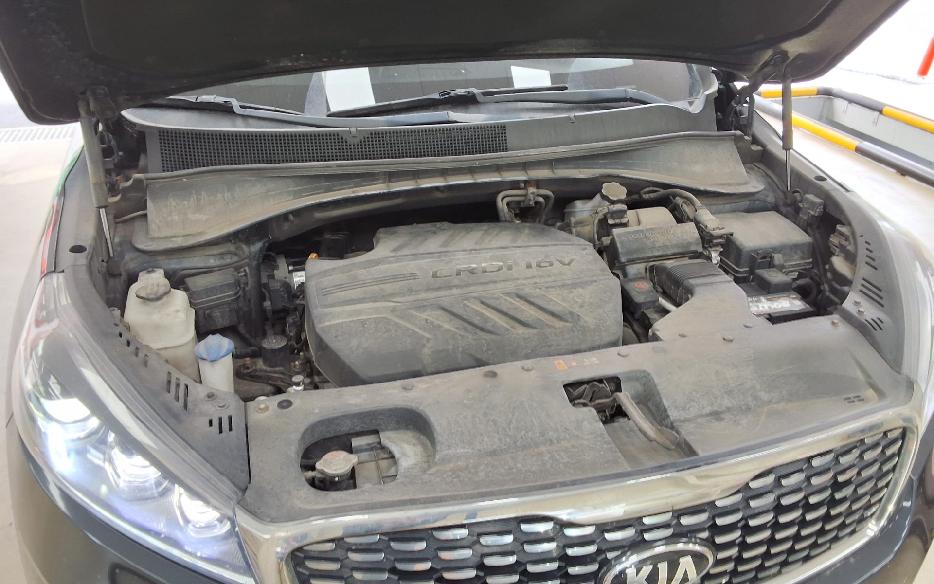 2019 - kia sorento