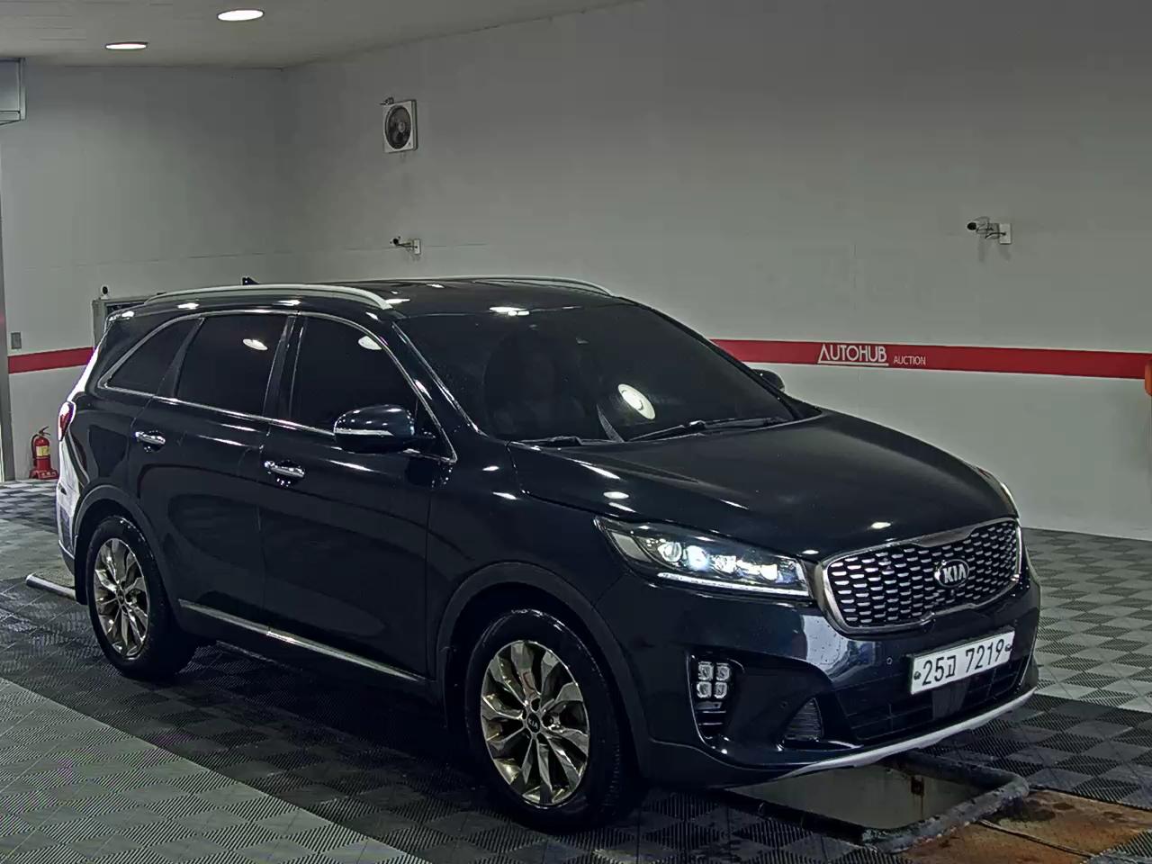 2019 - kia sorento