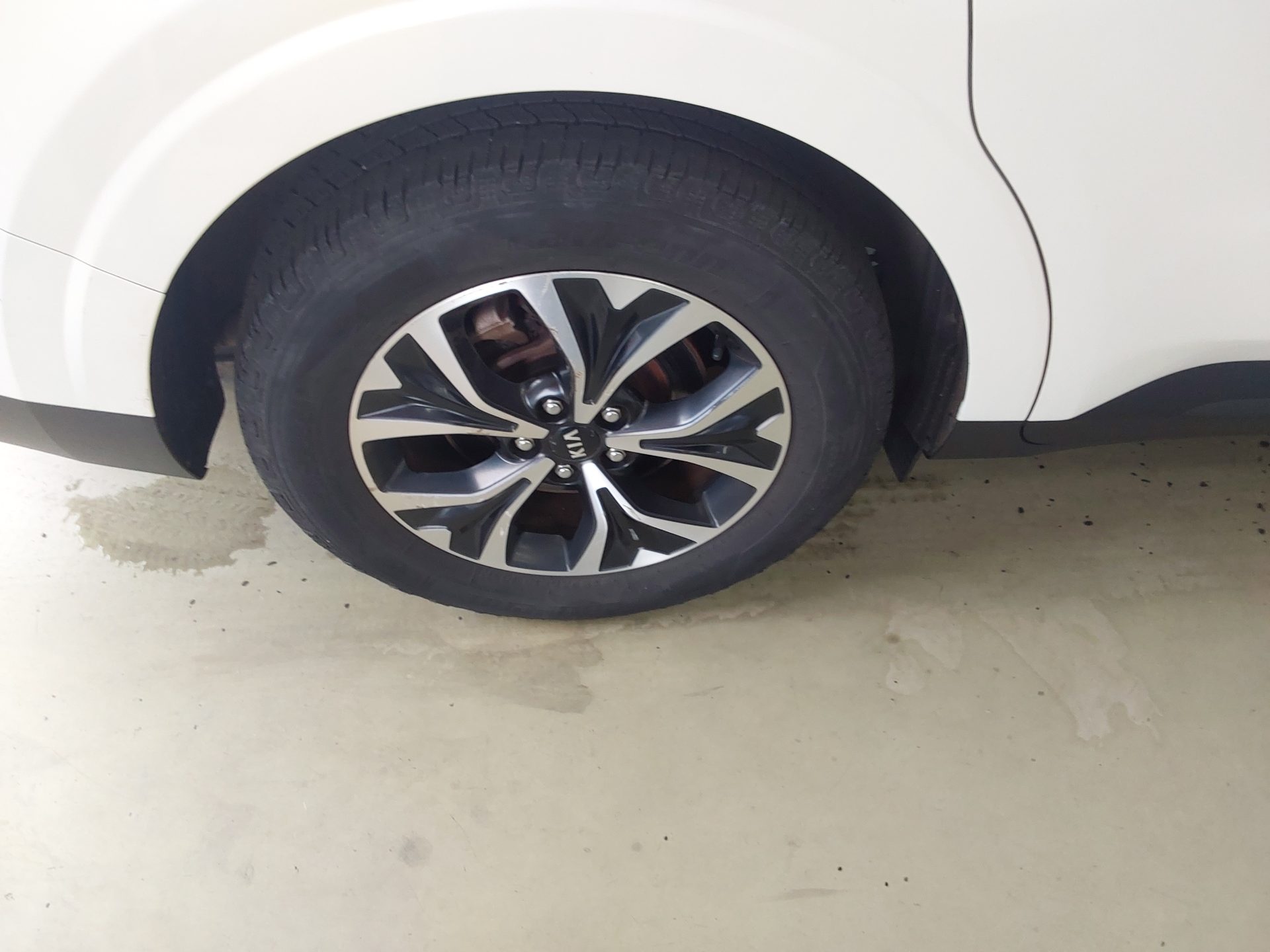 2021 - kia carnival