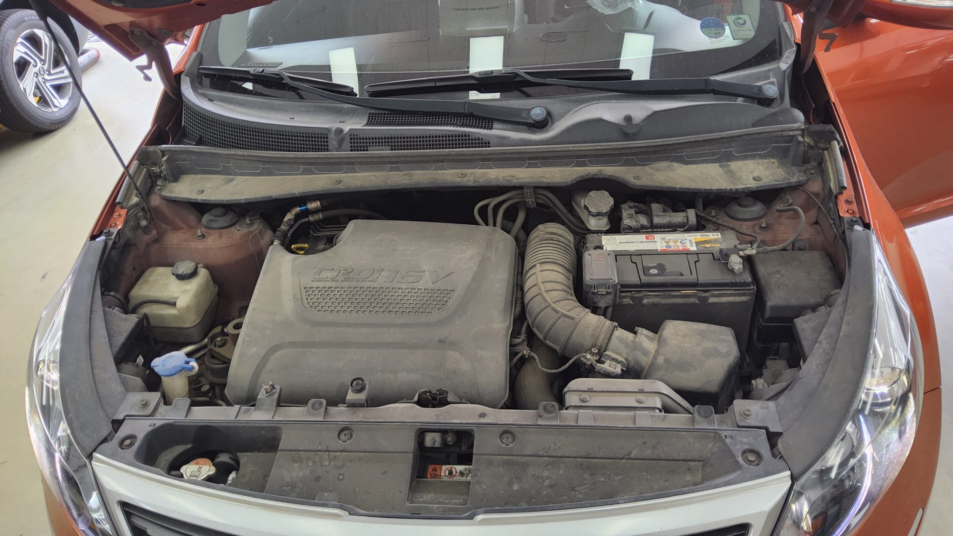2011 - kia sportage