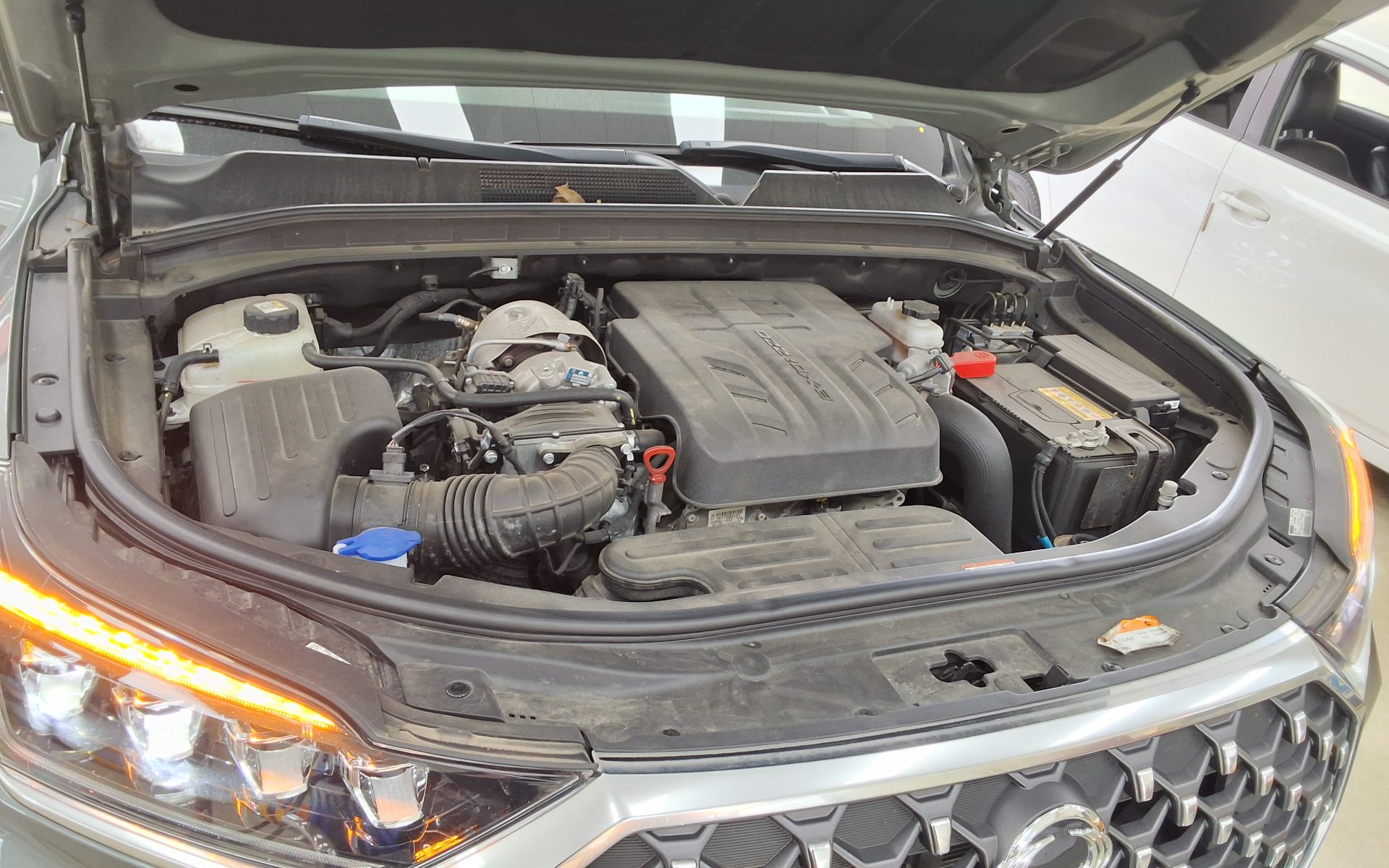 2024 - ssangyong rexton
