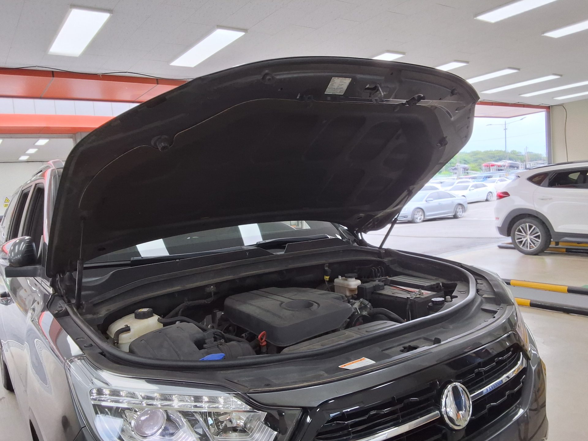 2019 - ssangyong rexton
