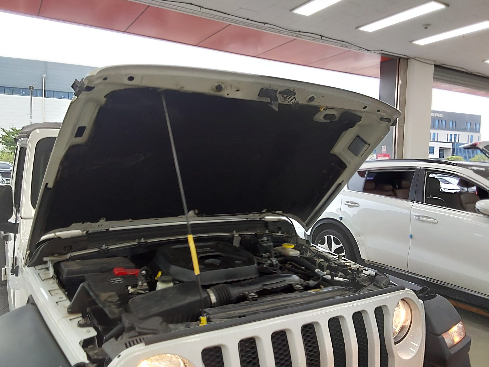 2019 - jeep wrangler