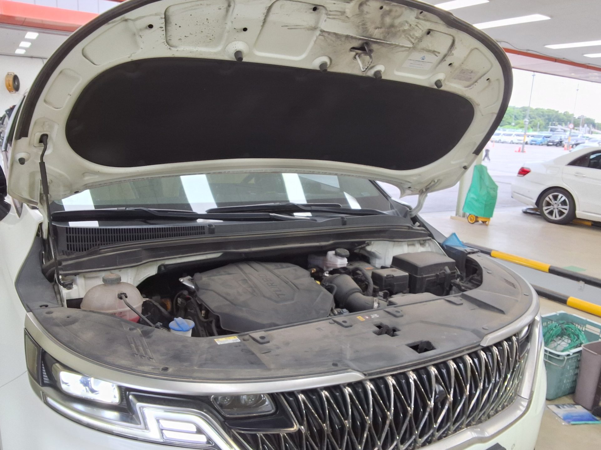 2023 - kia carnival