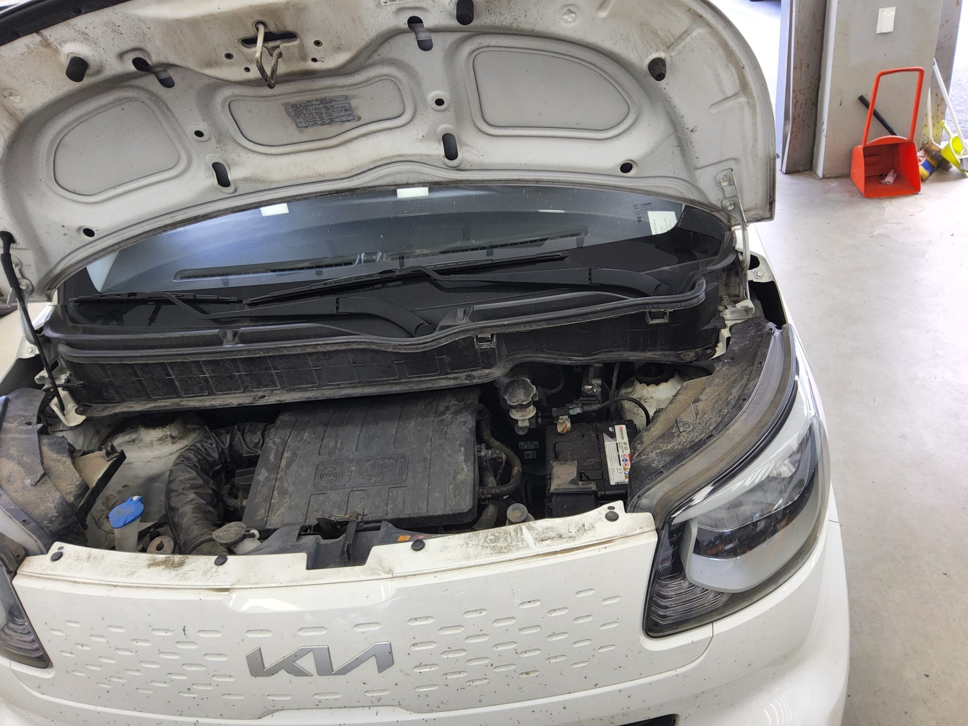 2022 - kia ray