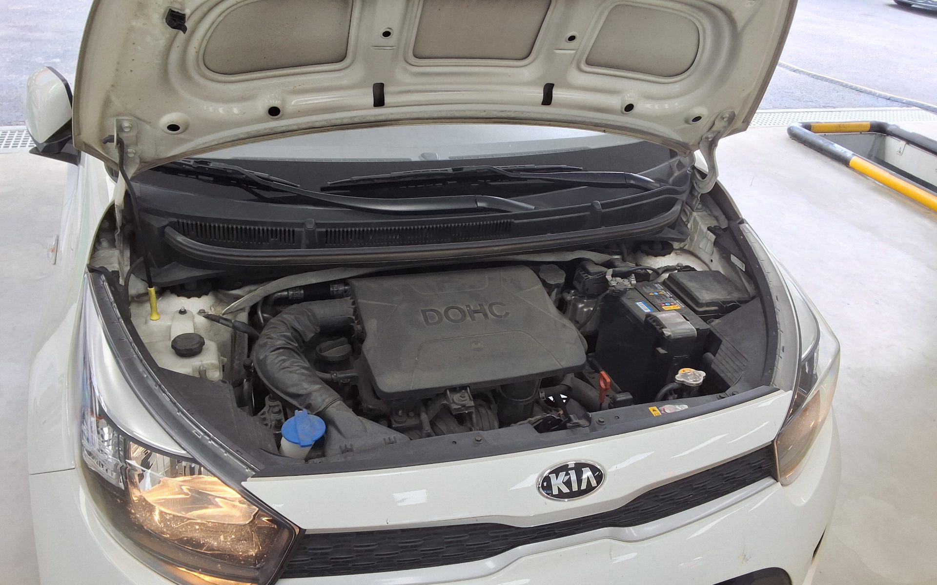 2019 - kia morning