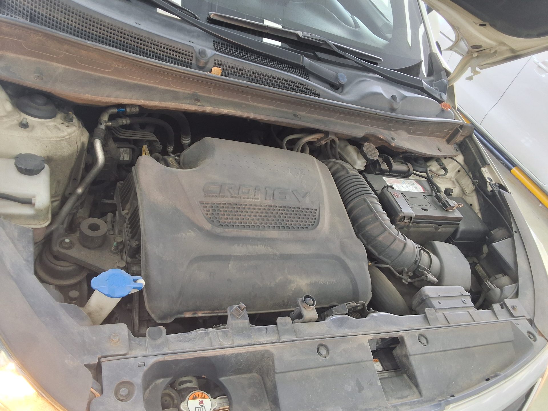 2012 - kia sportage