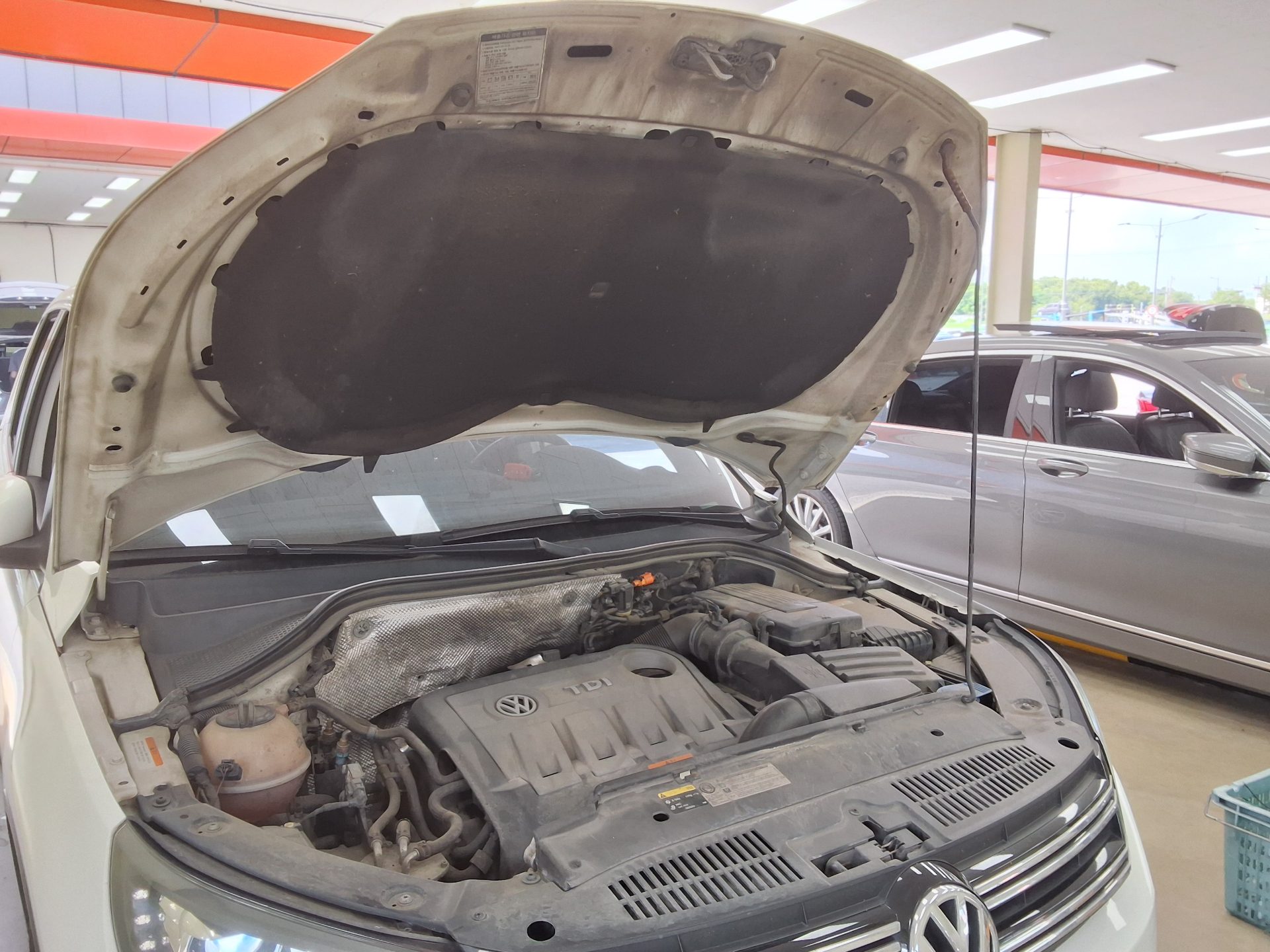 2013 - volkswagen tiguan